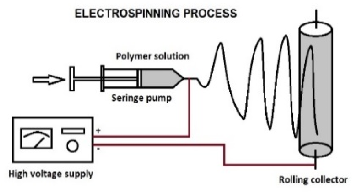 Proceedings 57 00085 g001