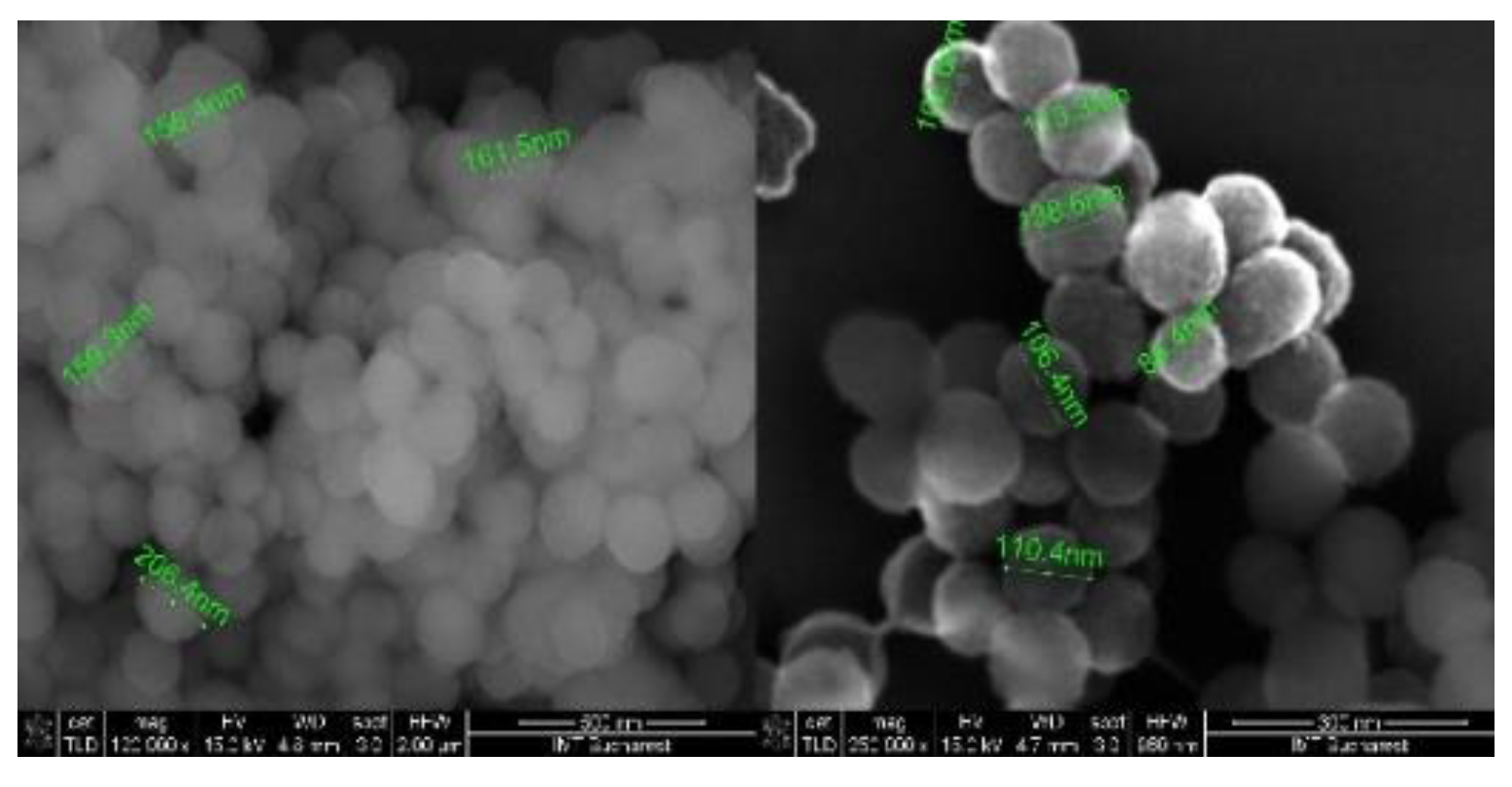 Proceedings 57 00096 g001