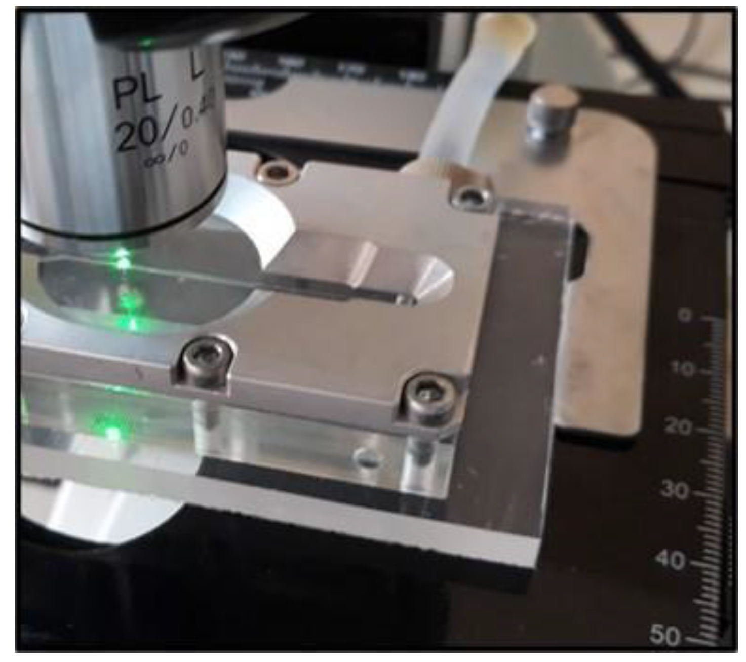 Proceedings 60 00002 g001