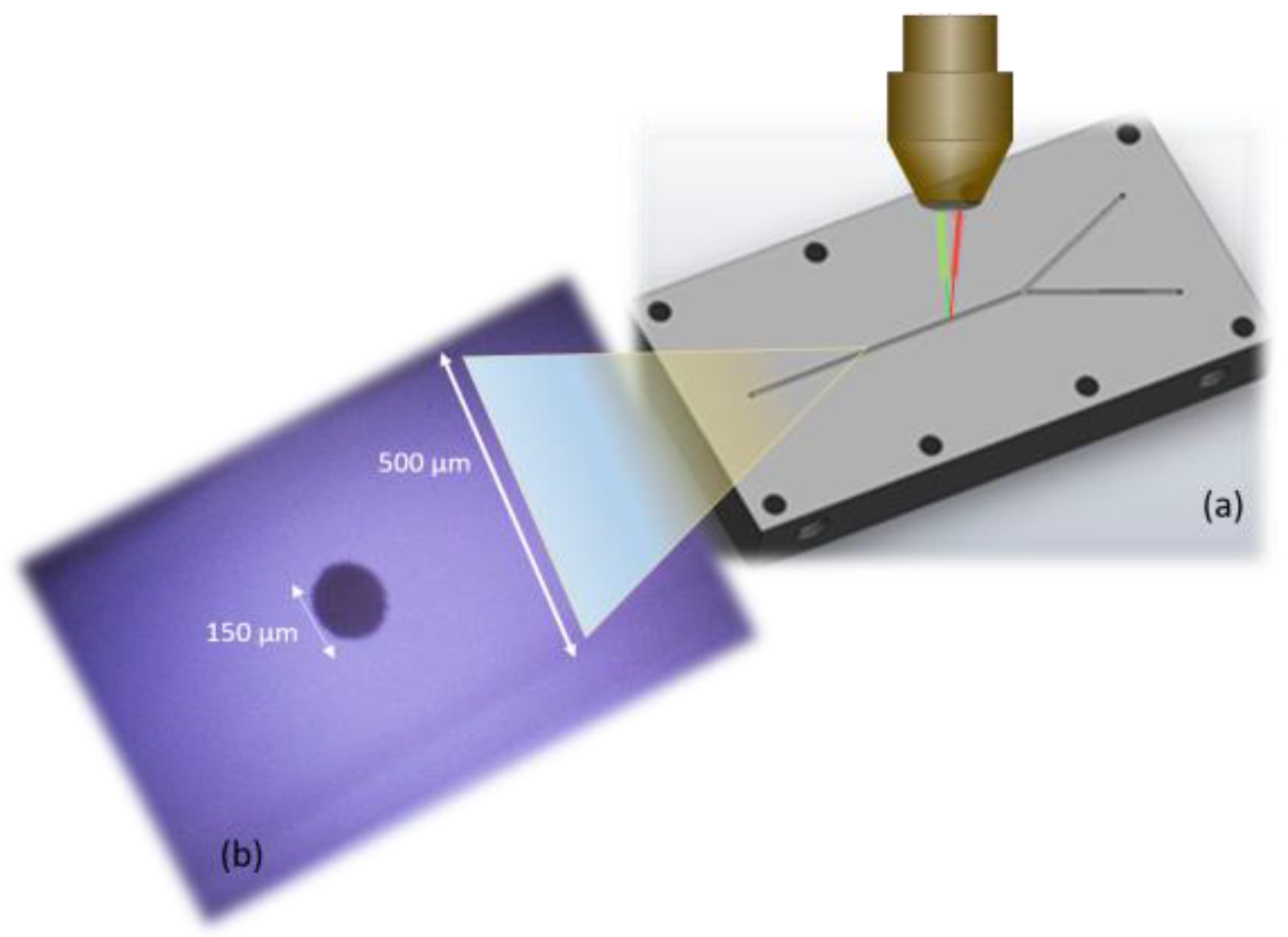 Proceedings 60 00002 g002