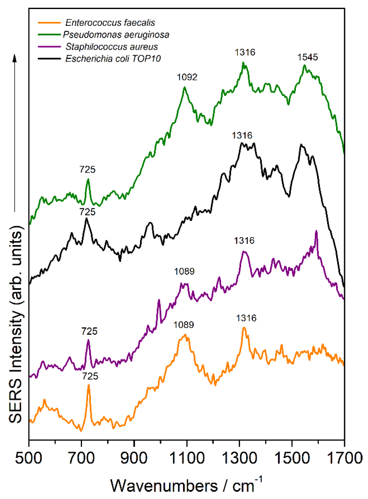 Proceedings 60 00002 g003