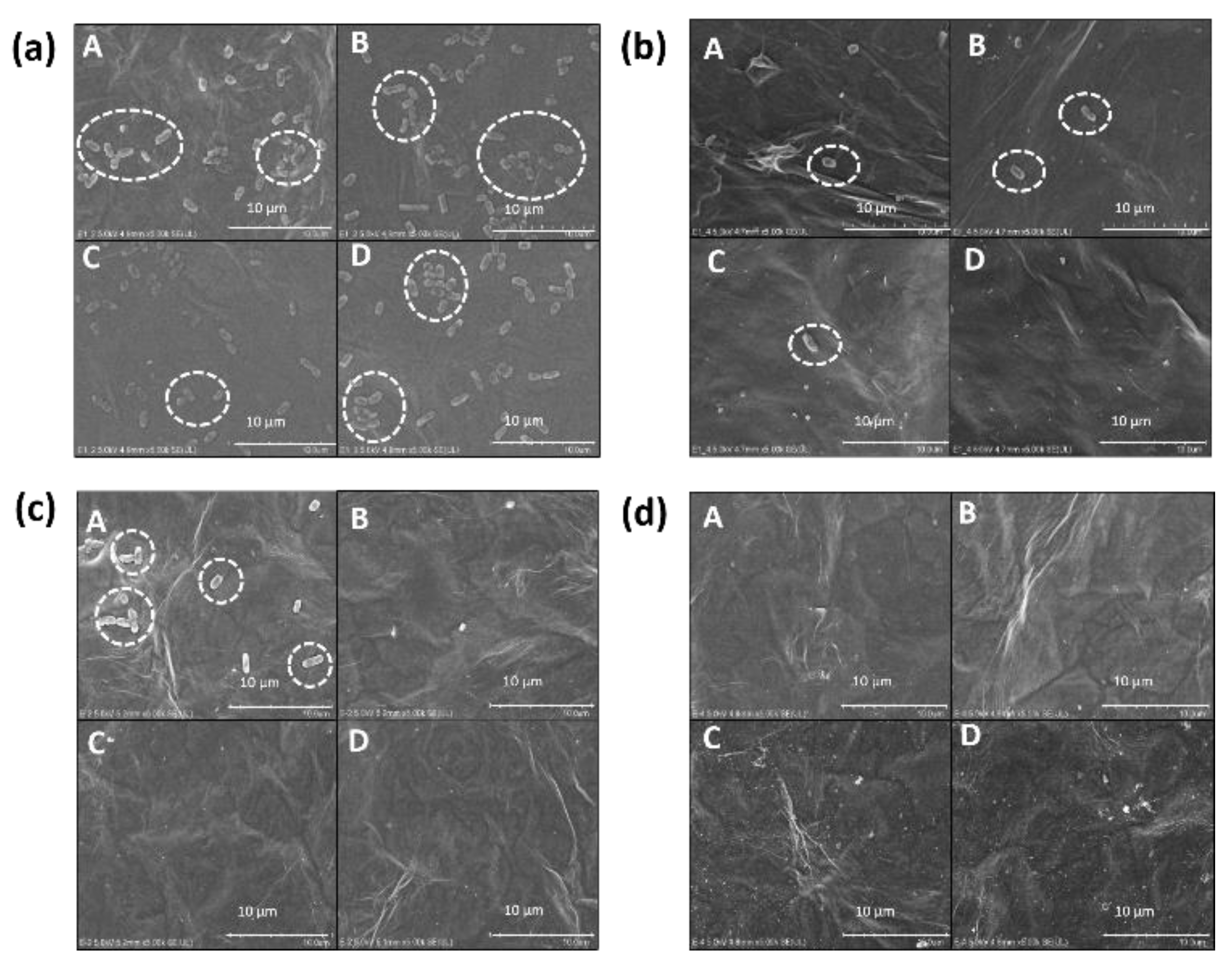 Proceedings 60 00013 g003