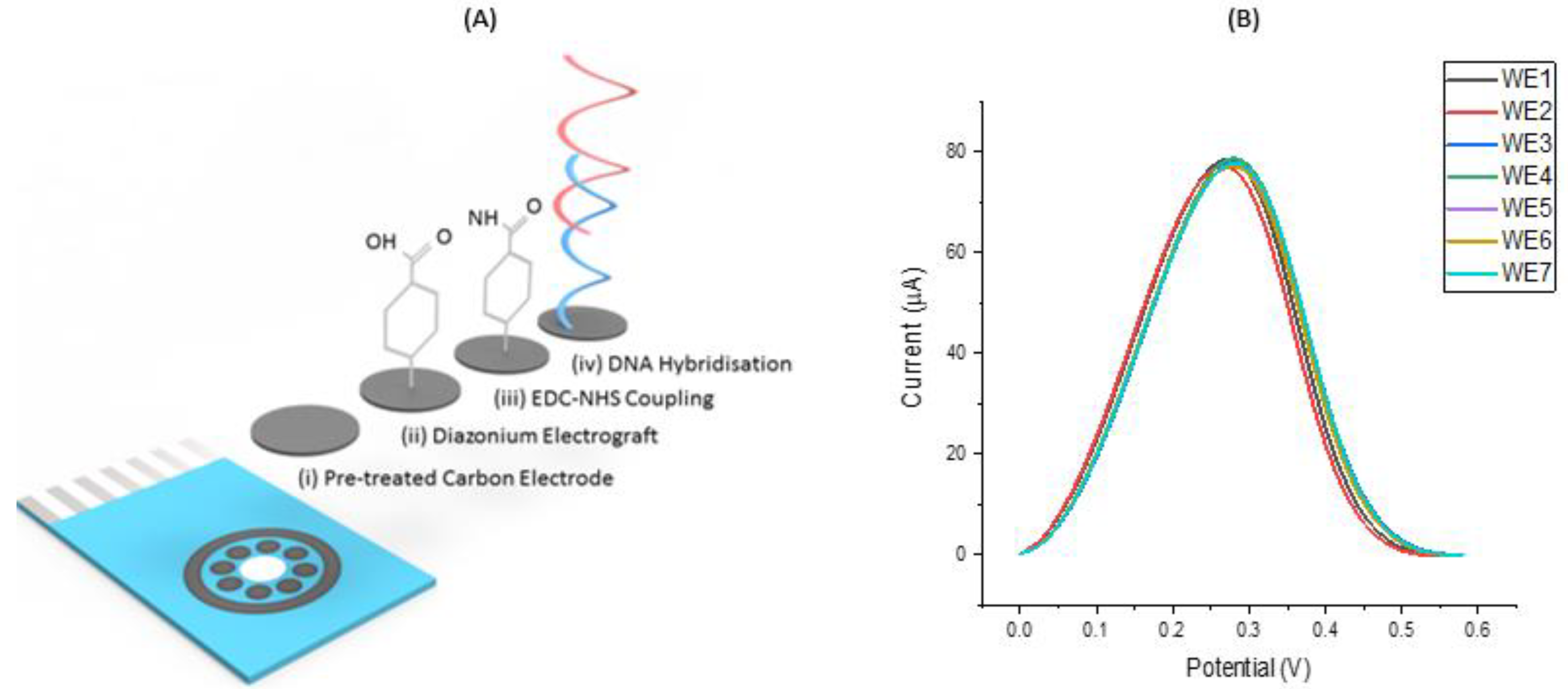 Proceedings 60 00015 g001 Proceedings 60 00015 g001
