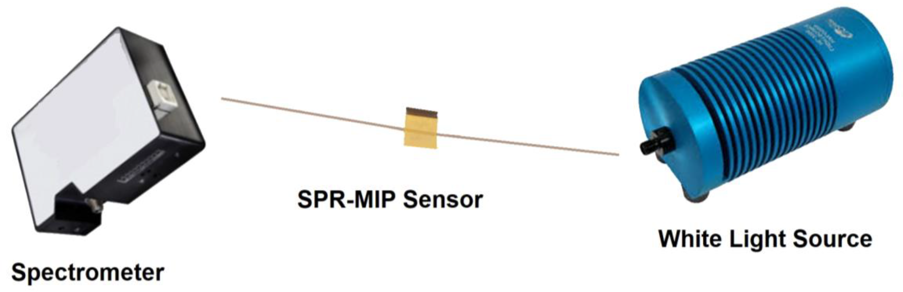 Proceedings 60 00022 g001