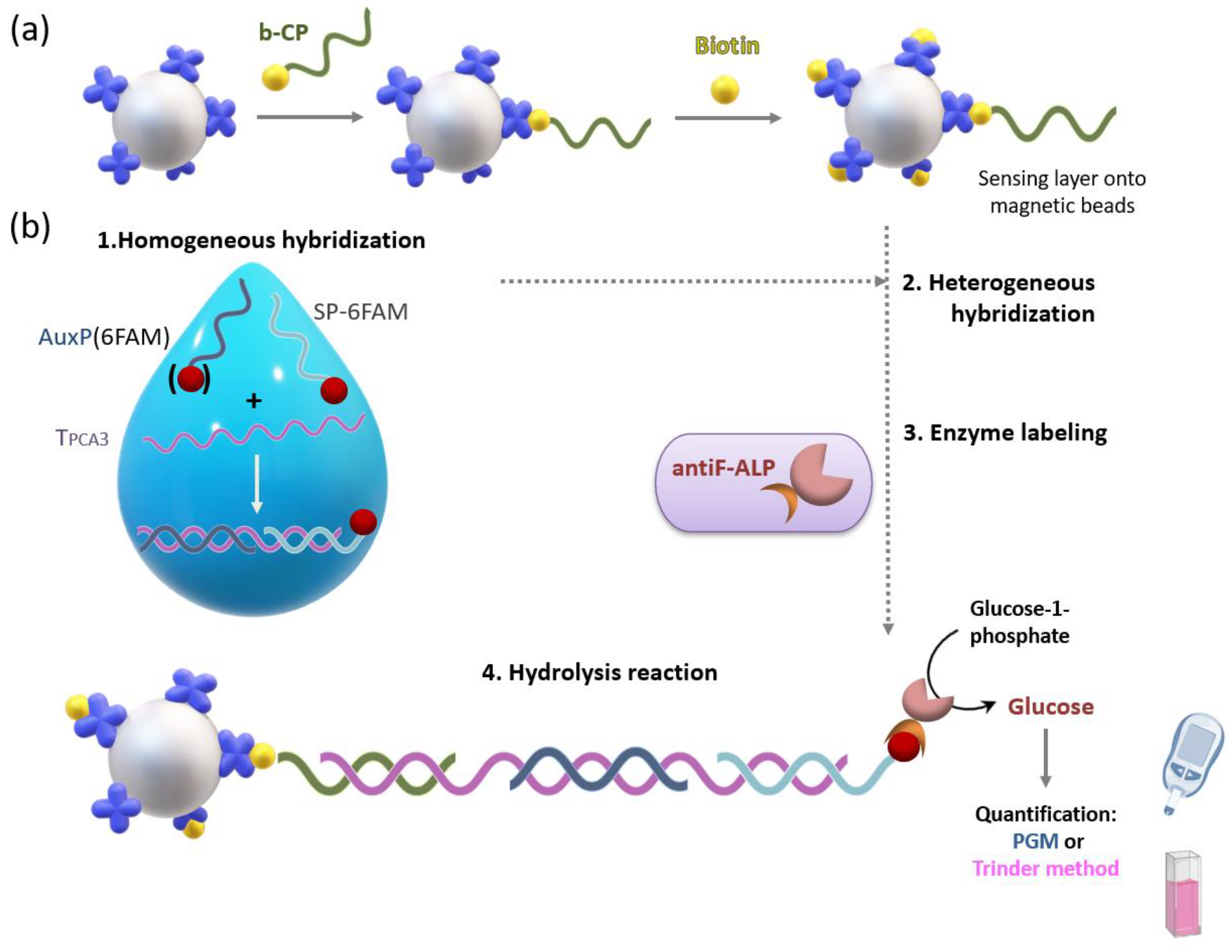 Proceedings 60 00024 g001 550