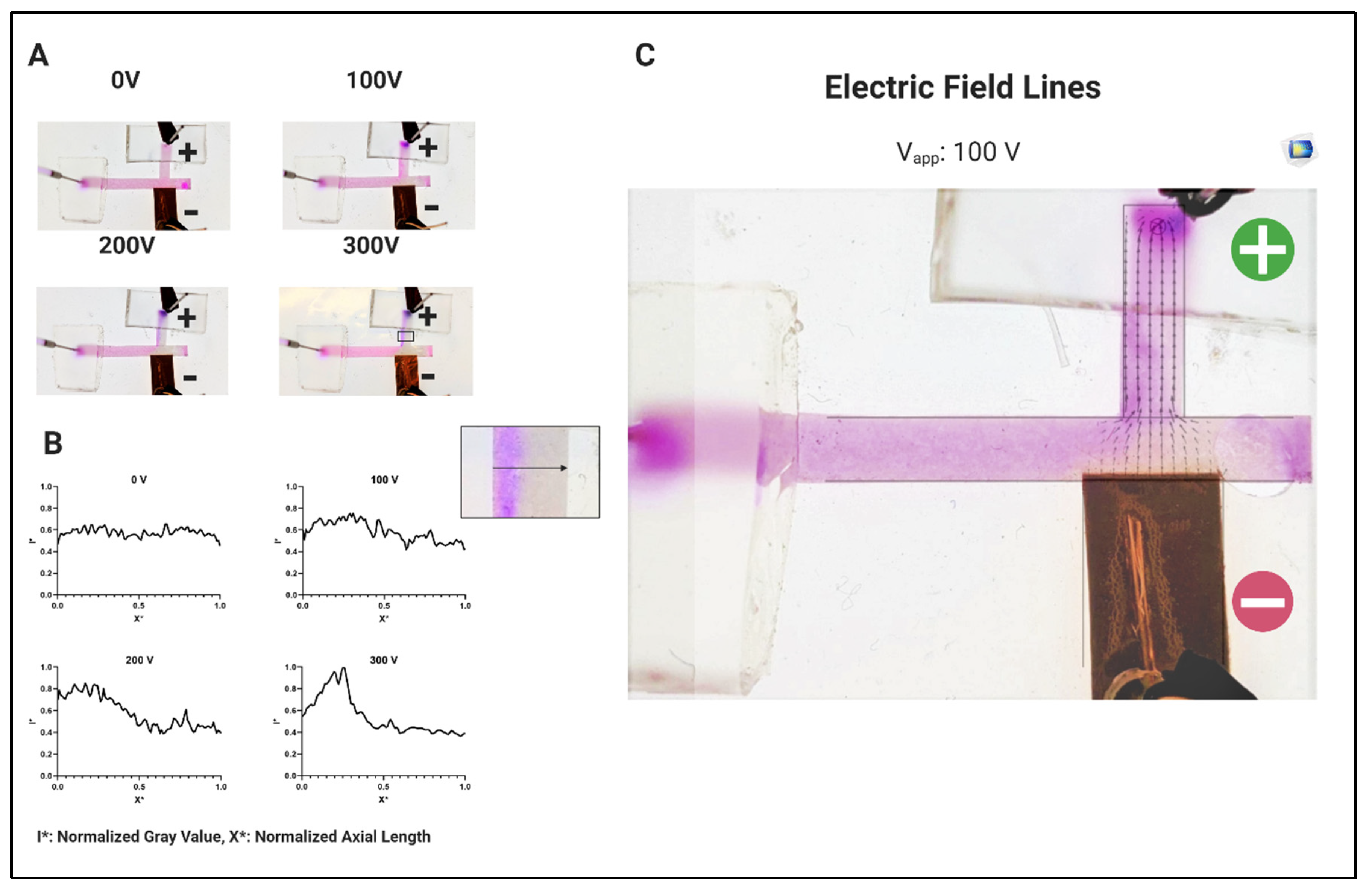 Proceedings 60 00033 g003