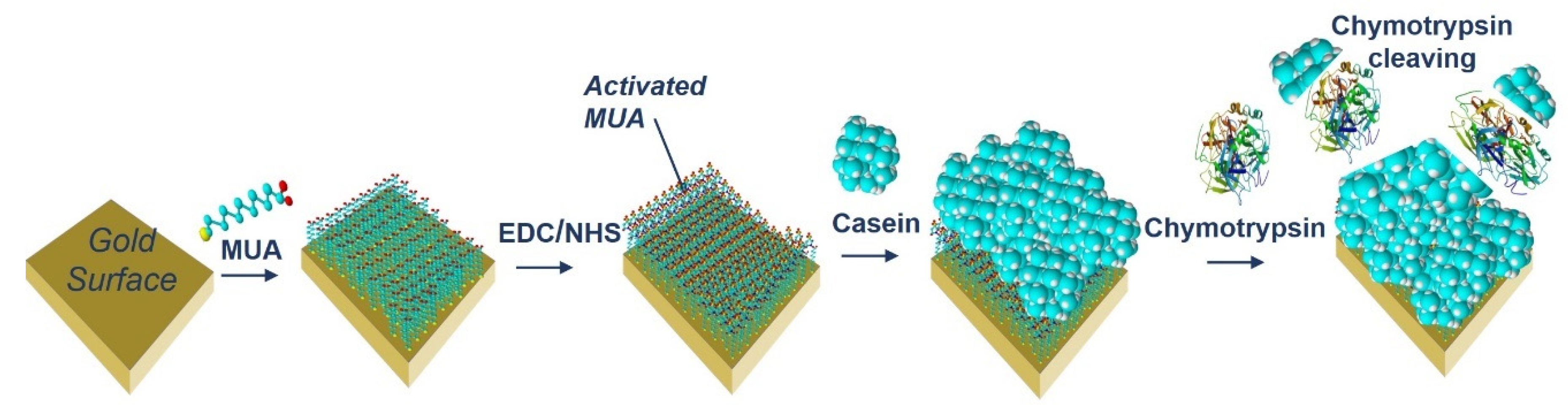 Proceedings 60 00042 g002 550