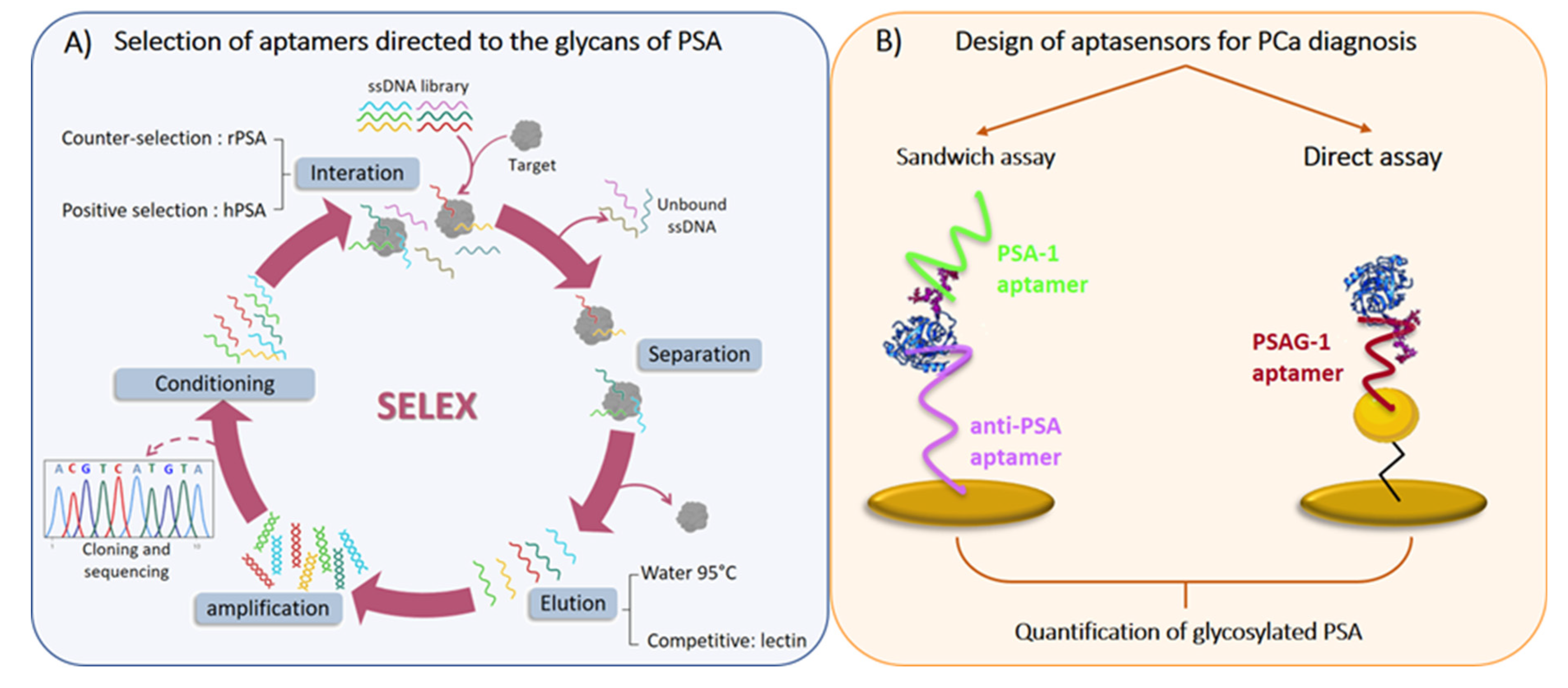 Proceedings 60 00047 g001
