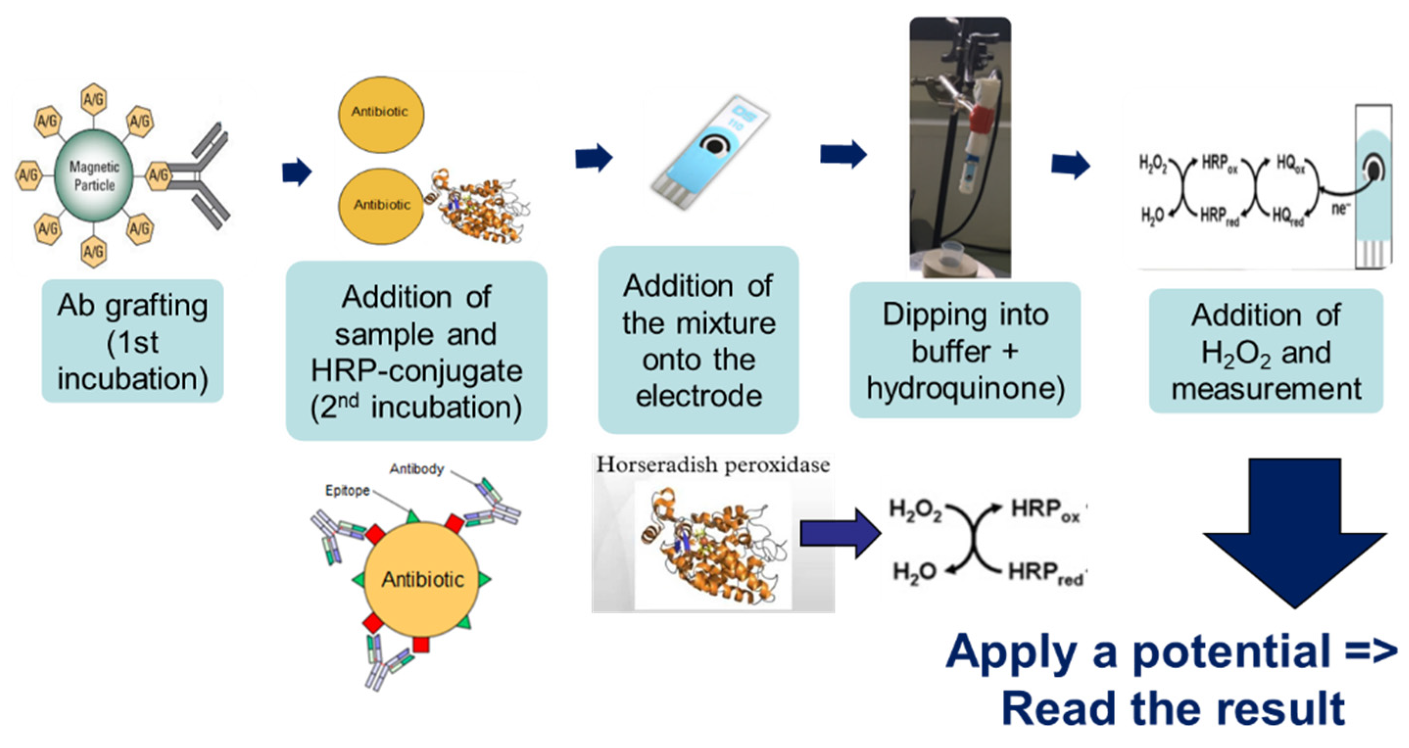 Proceedings 60 00048 g001 550