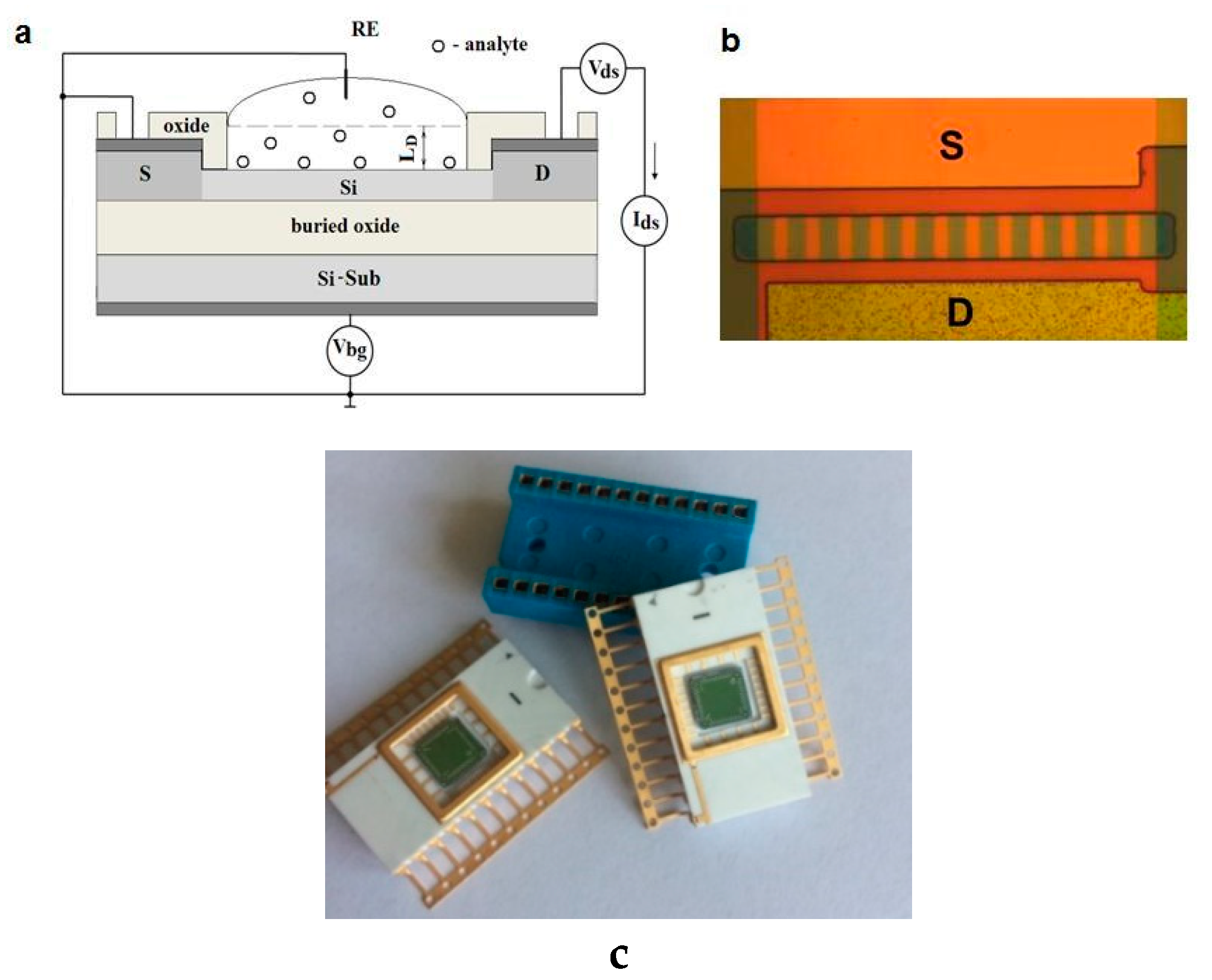 Proceedings 60 00050 g001 550