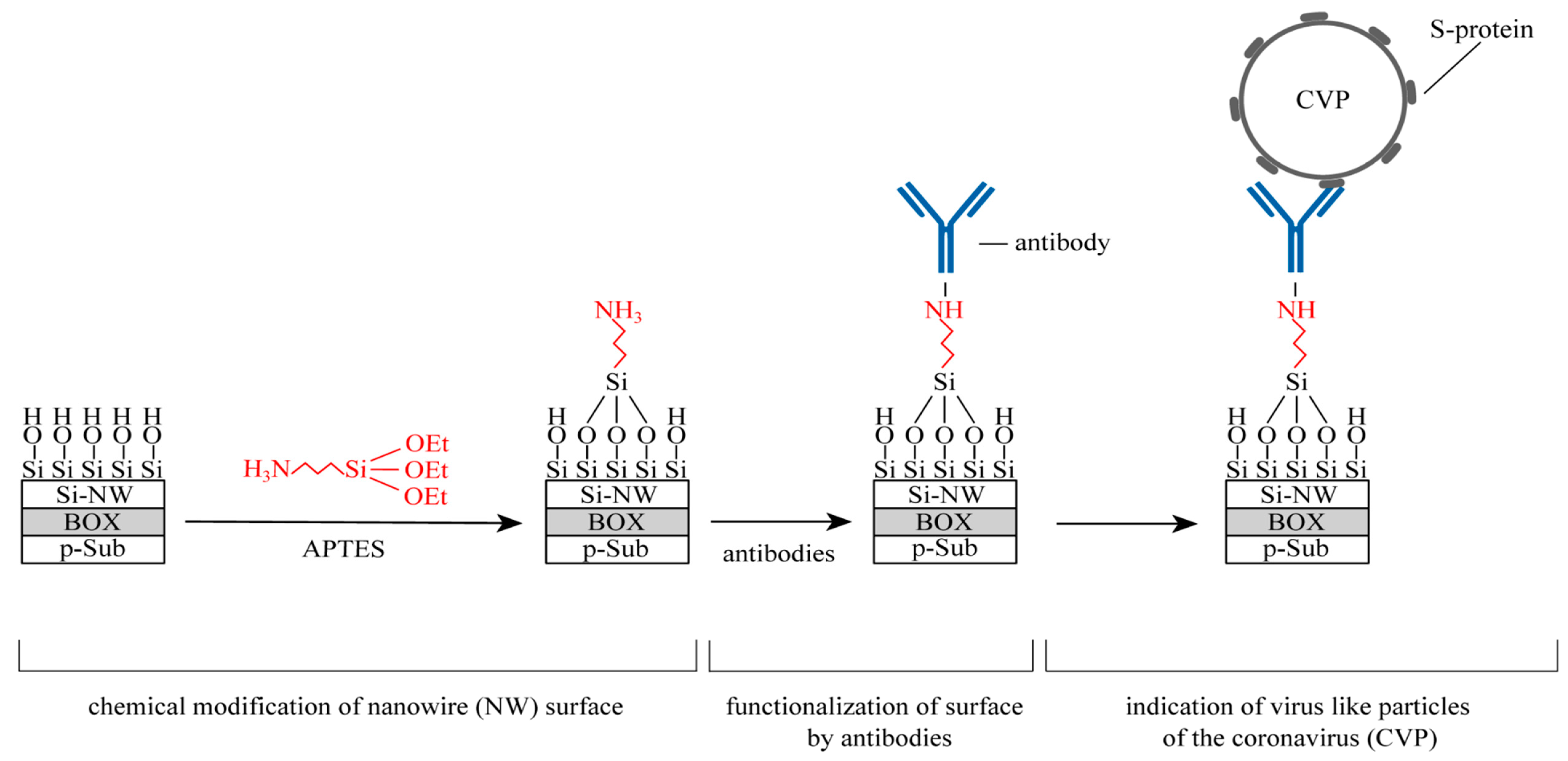Proceedings 60 00050 g003 550