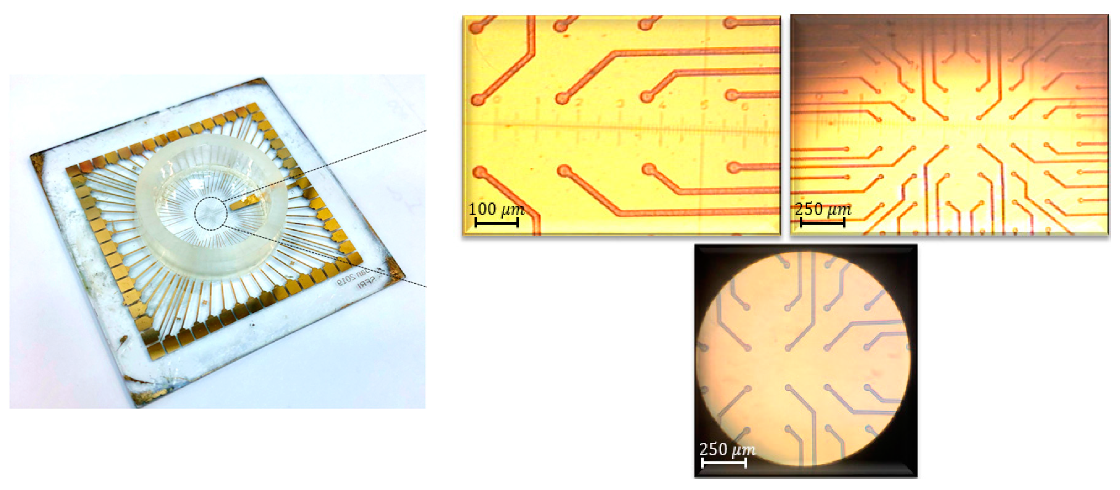 Proceedings 60 00051 g004 550