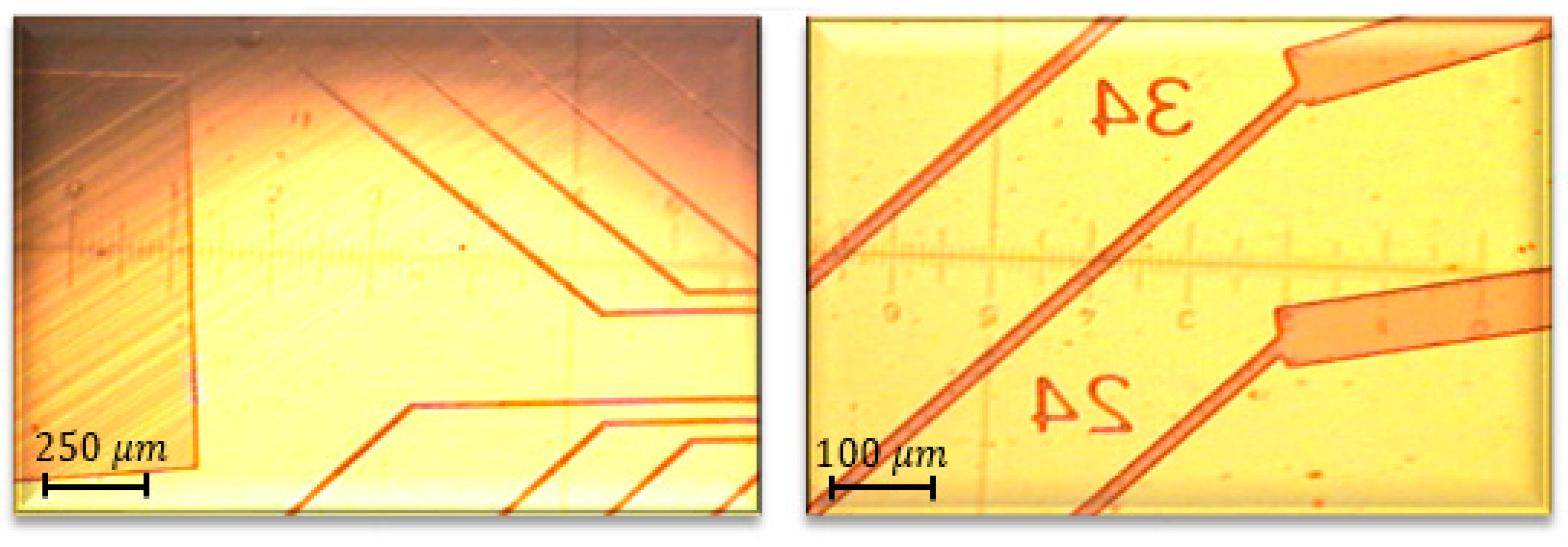 Proceedings 60 00051 g005 550