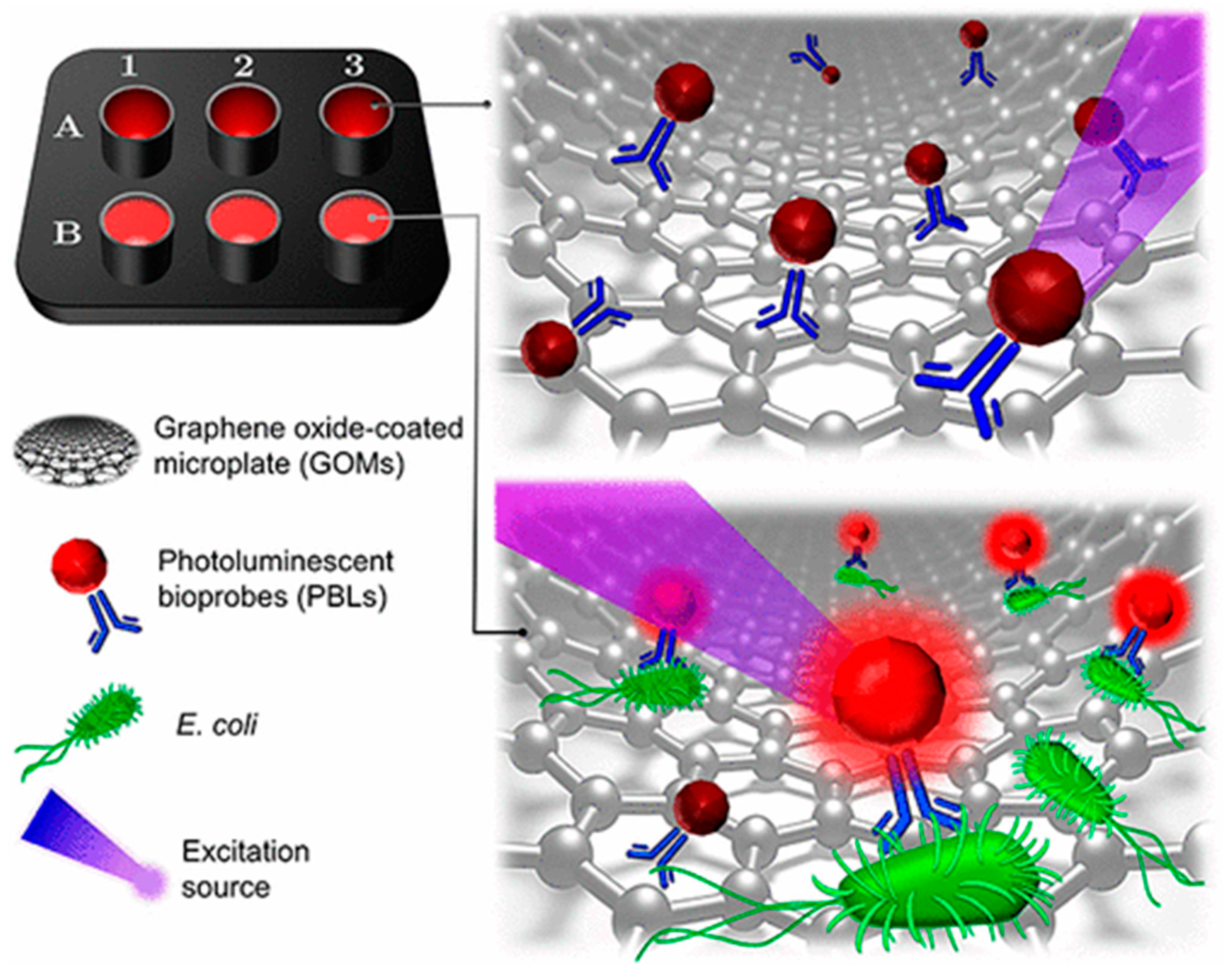 Proceedings 60 00059 g001 550