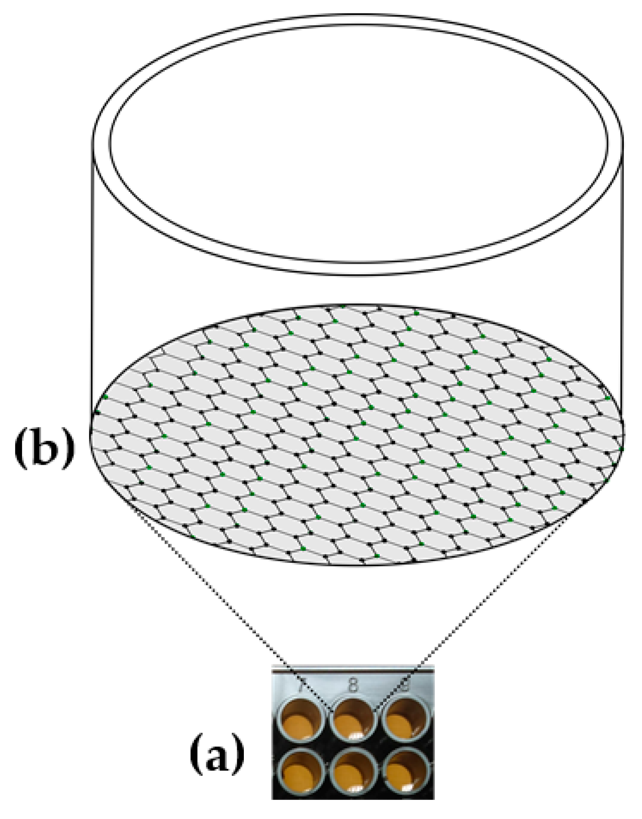 Proceedings 60 00060 g001