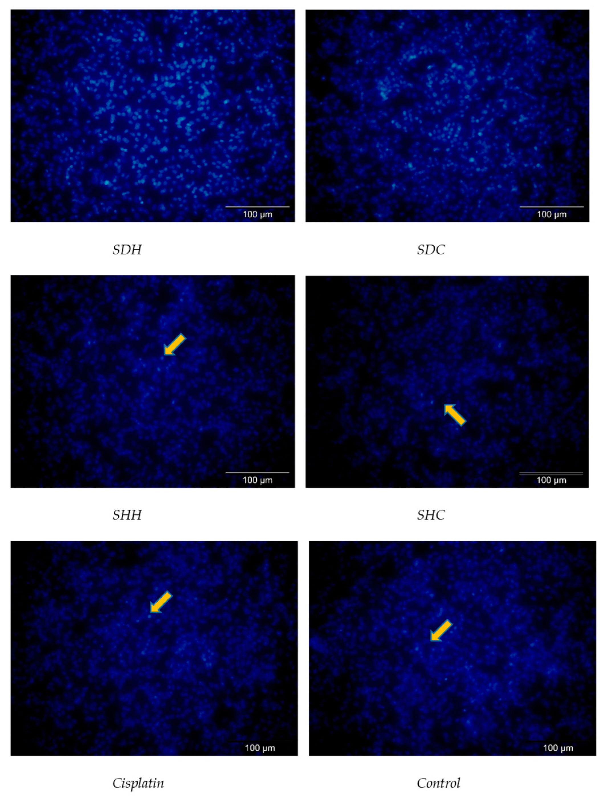 Proceedings 61 00004 g001 Proceedings 61 00004 g001