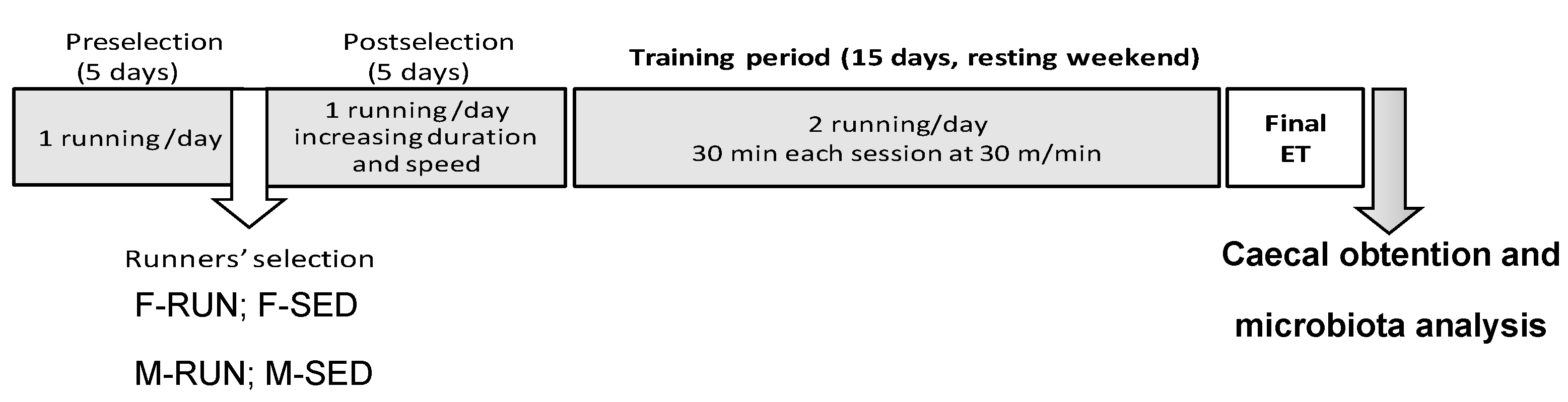 Proceedings 61 00011 g001 550