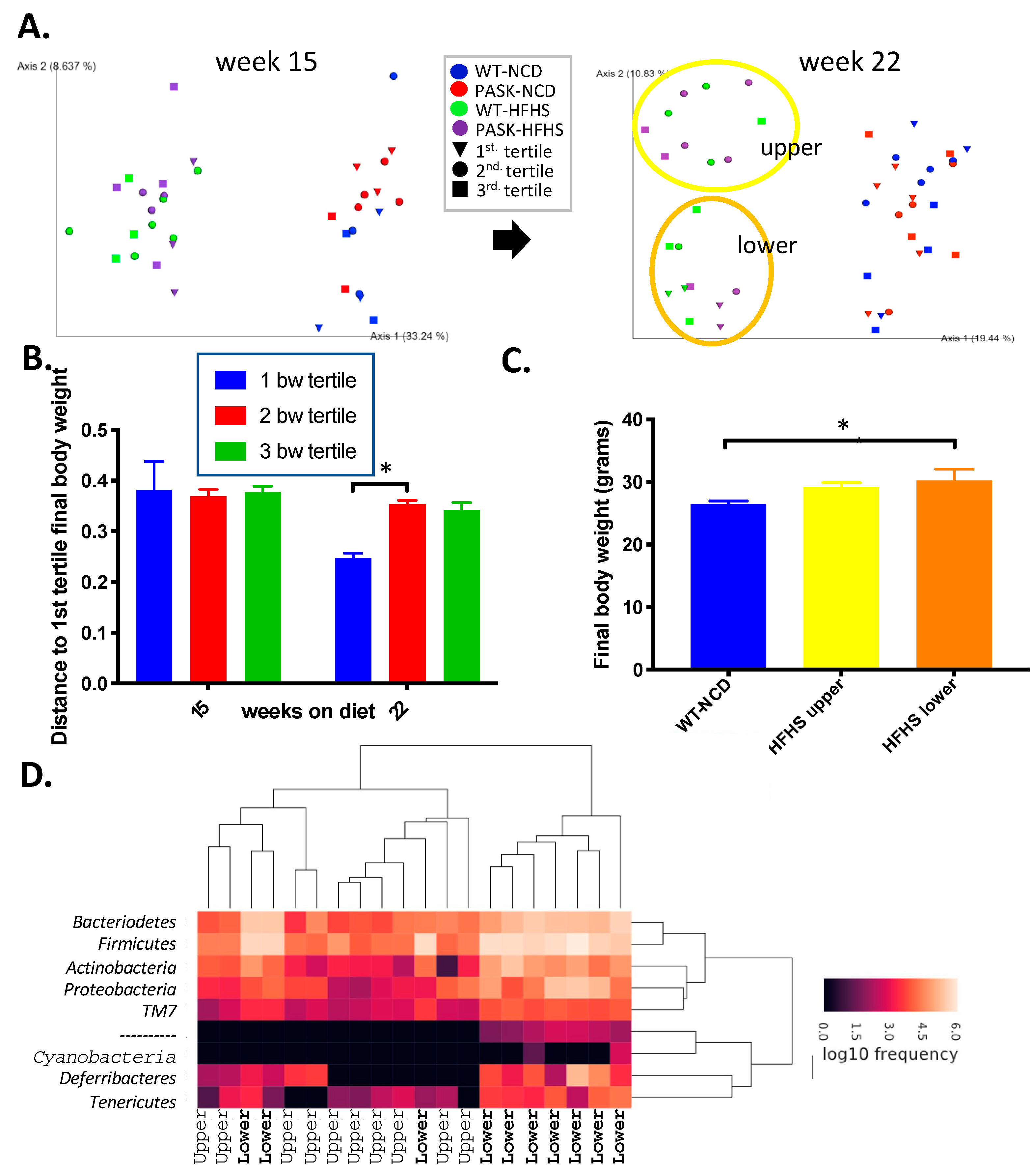 Proceedings 61 00017 g005
