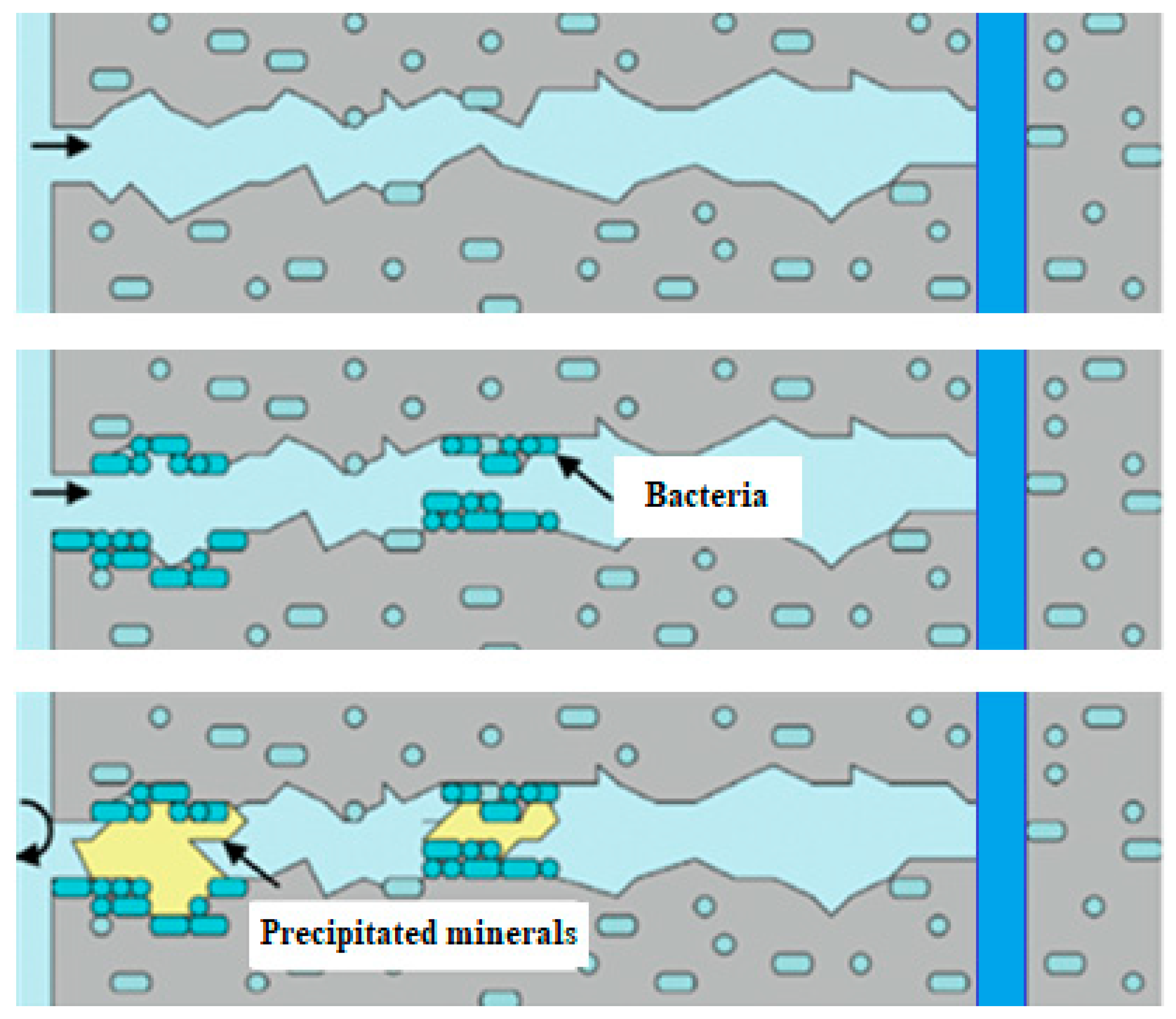 Proceedings 63 00005 g004