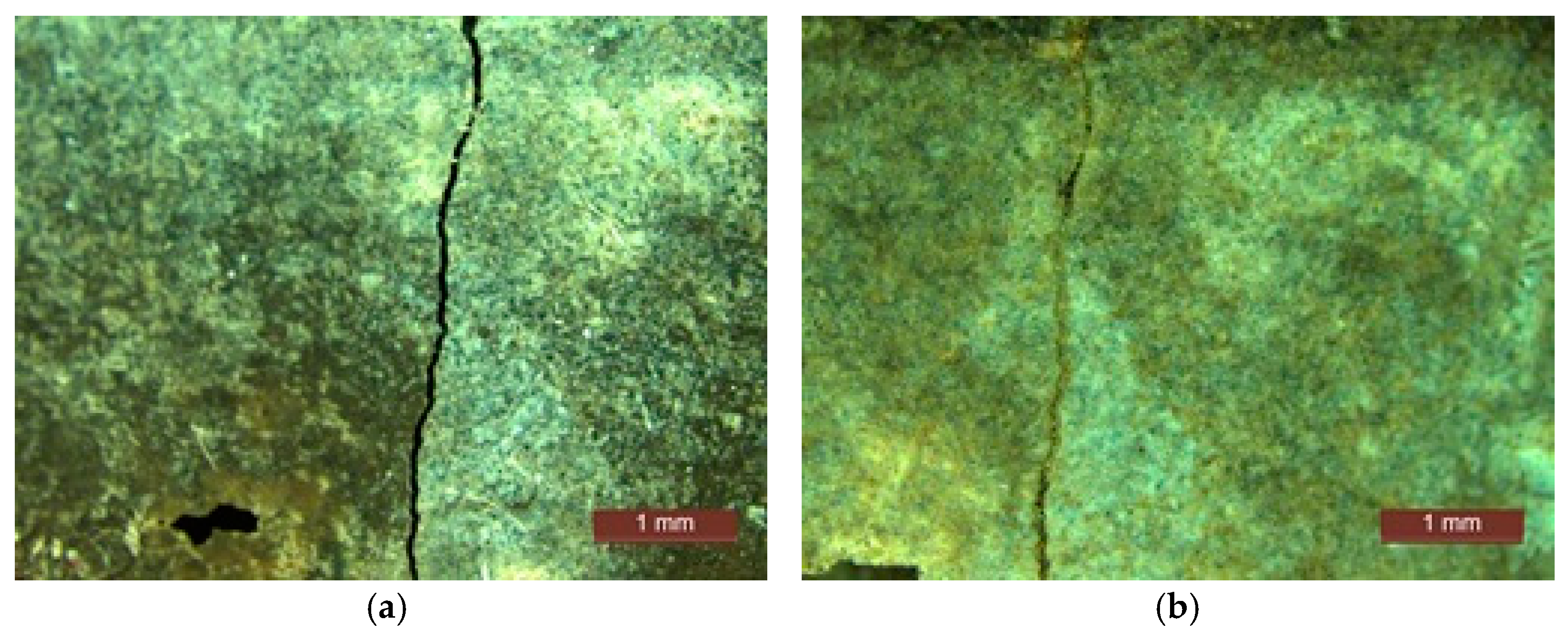 Proceedings 63 00005 g009