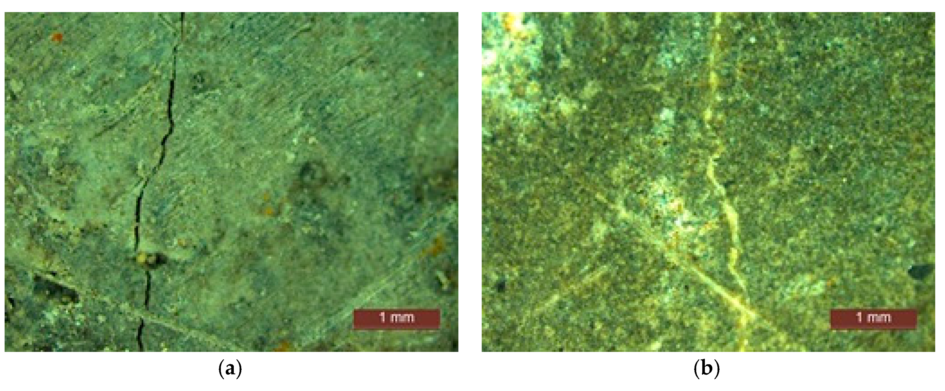 Proceedings 63 00005 g010