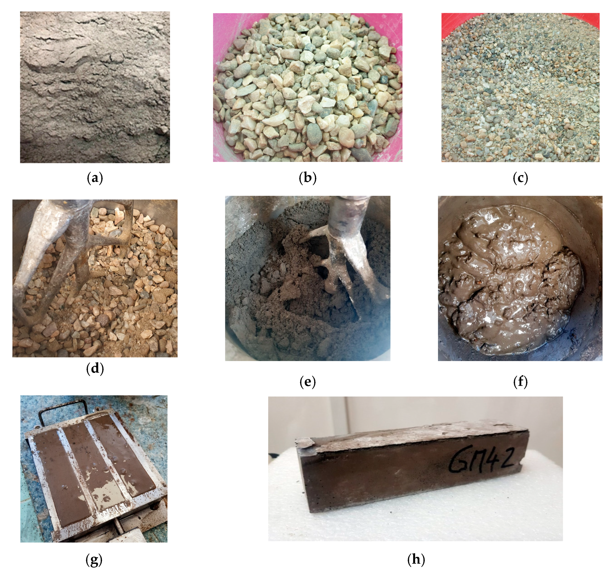 Proceedings 63 00011 g001