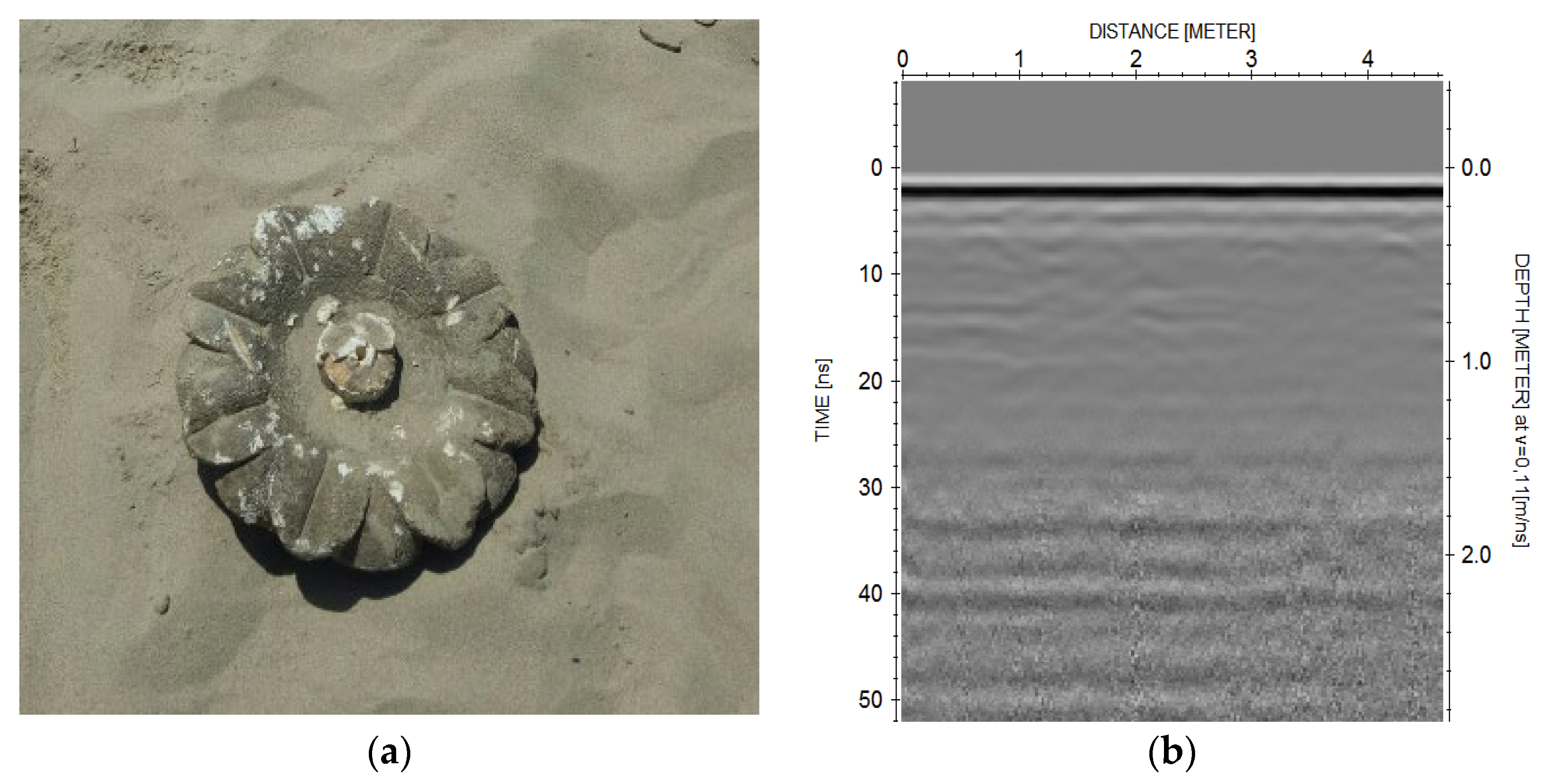 Proceedings 63 00037 g010