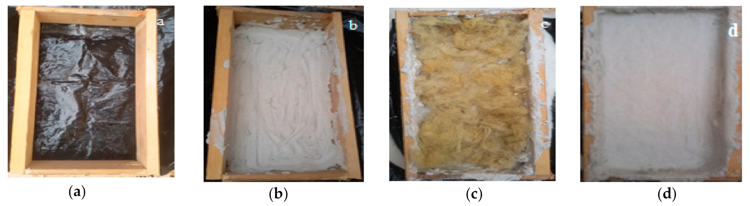 Proceedings 63 00040 g002 Proceedings 63 00040 g002