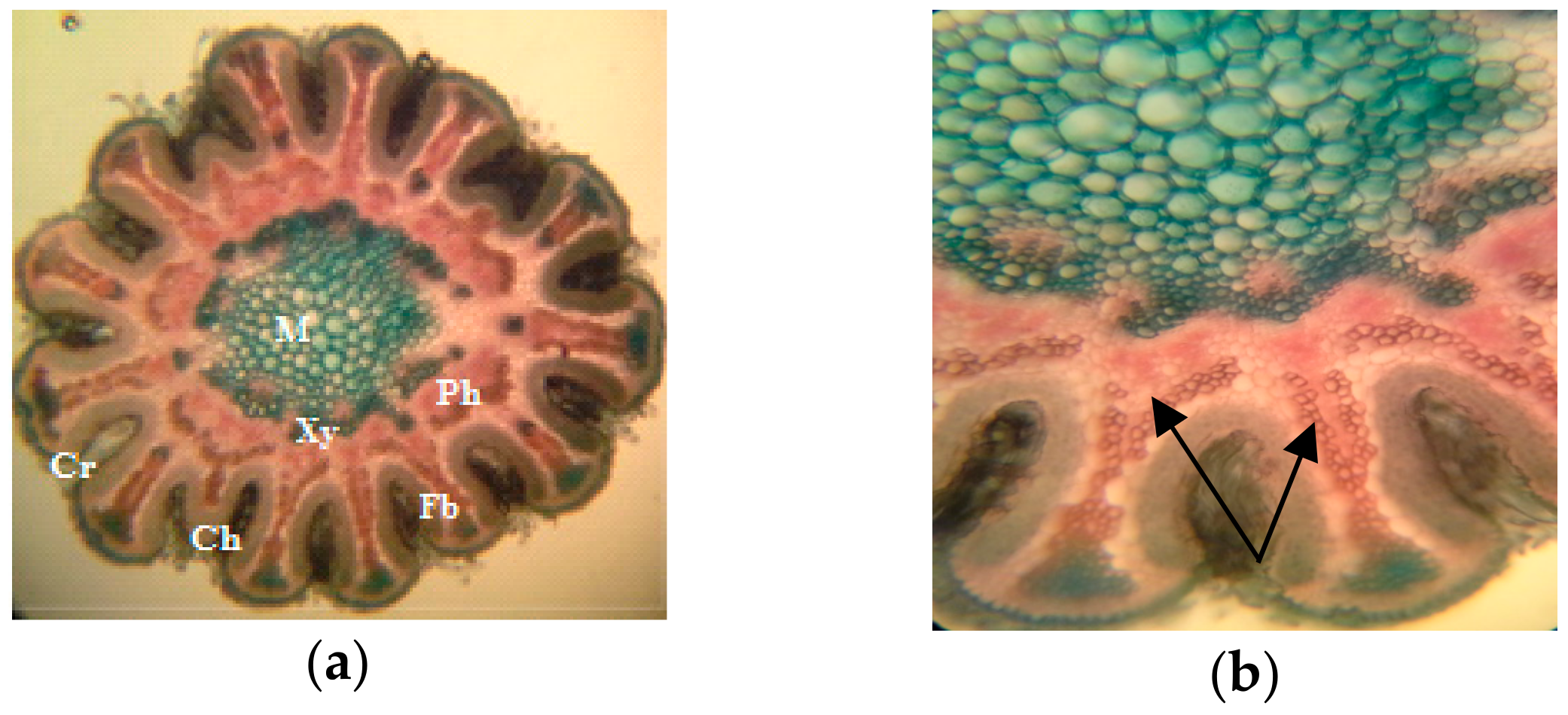 Proceedings 63 00040 g003 Proceedings 63 00040 g003