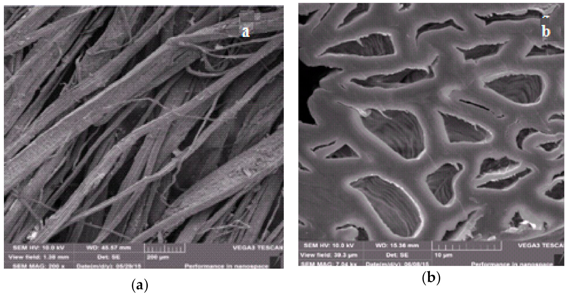 Proceedings 63 00040 g005 Proceedings 63 00040 g005