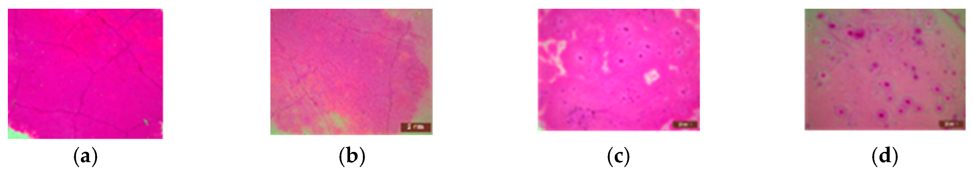 Proceedings 63 00042 g006