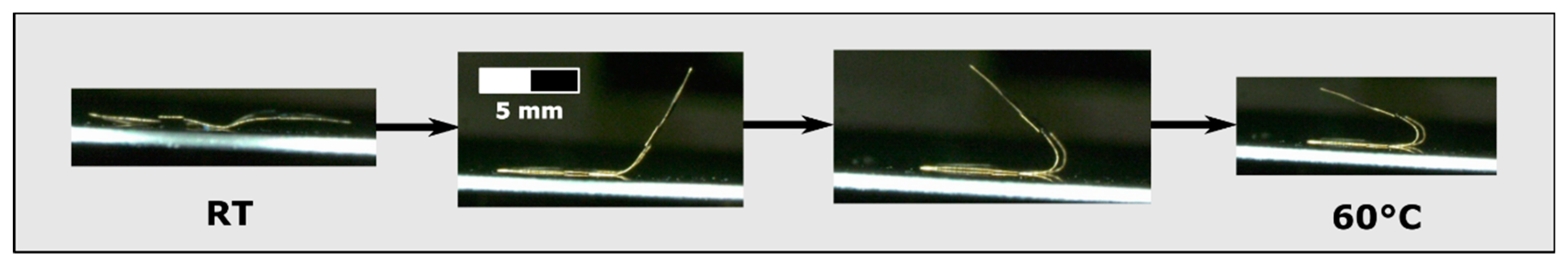 Proceedings 64 00006 g004 550