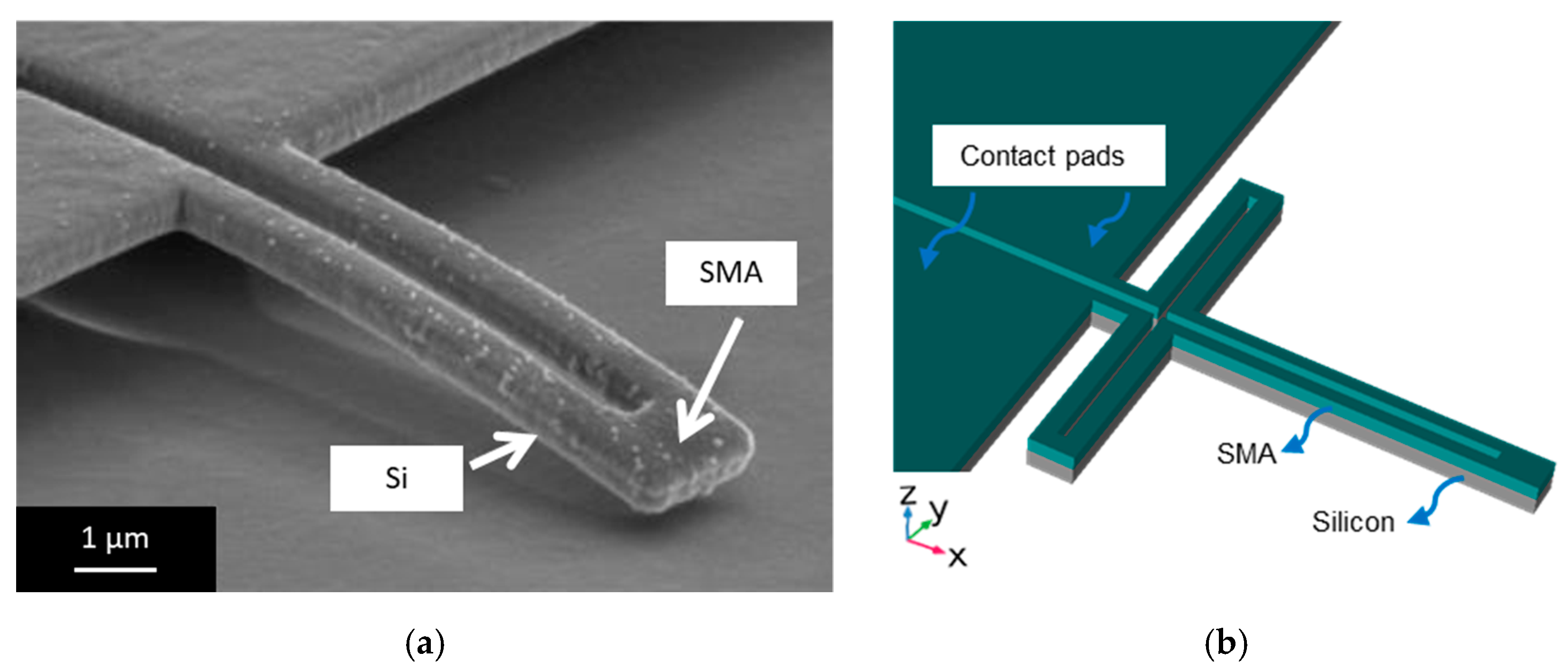 Proceedings 64 00008 g003 550