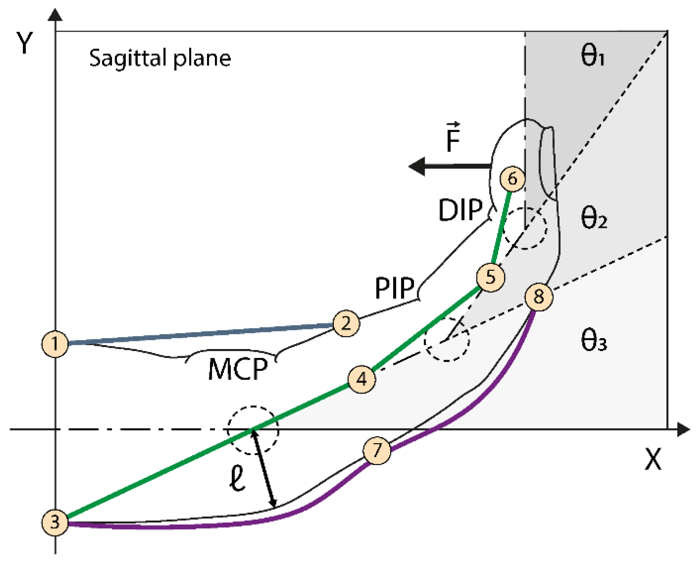 Proceedings 64 00021 g005
