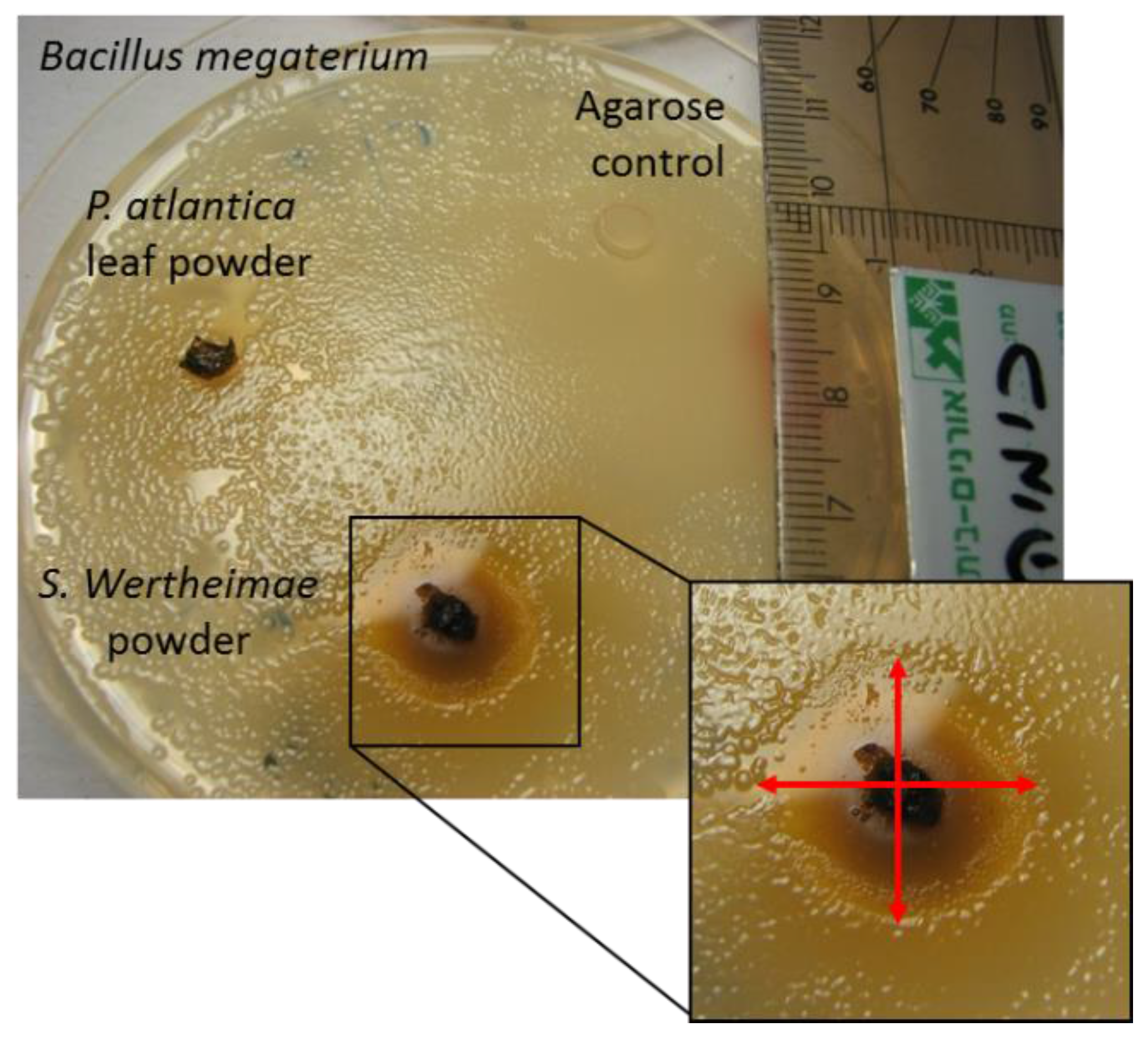 Proceedings 66 00009 g002