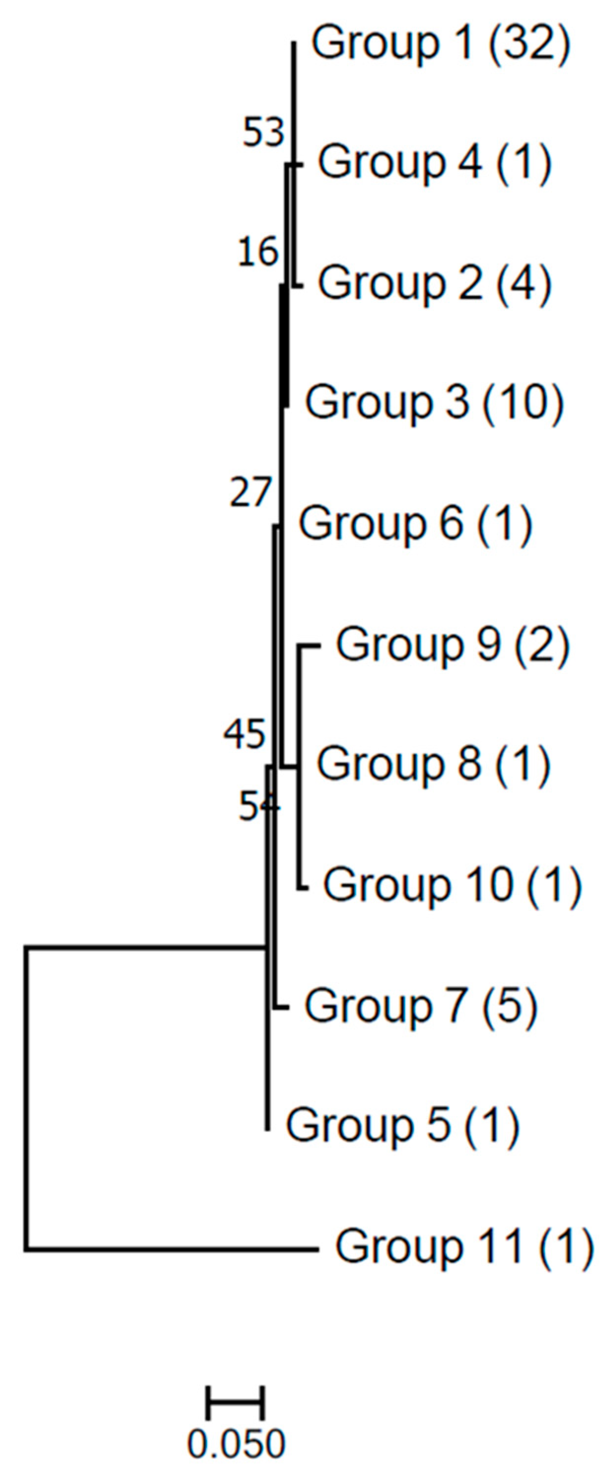 Proceedings 66 00015 g002