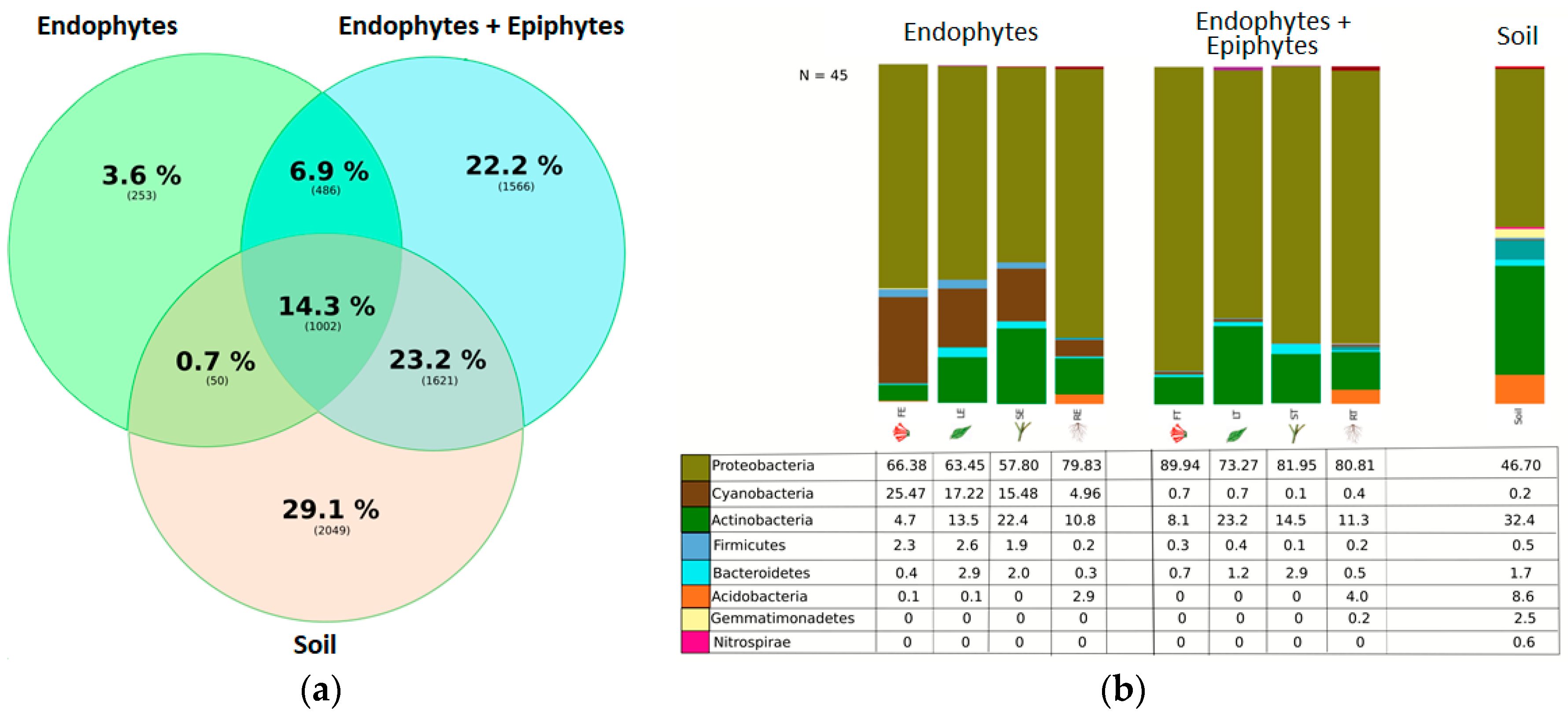 Proceedings 66 00034 g001