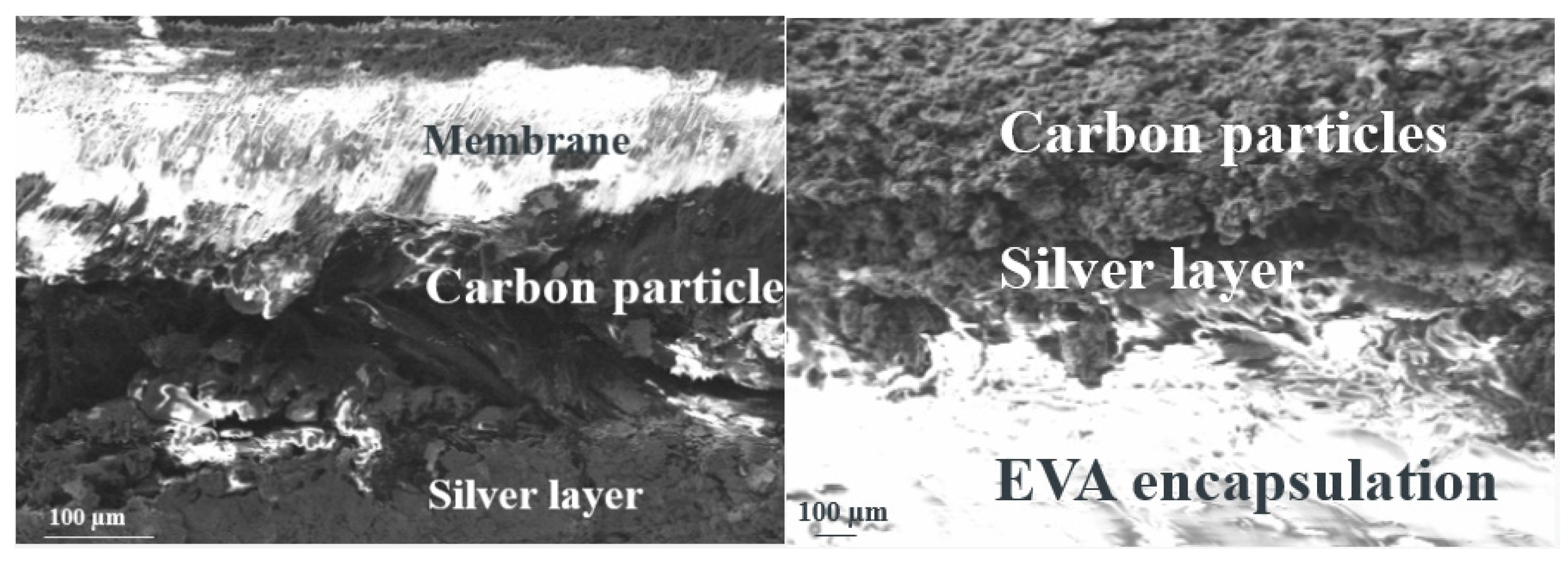 Proceedings 68 00007 g002