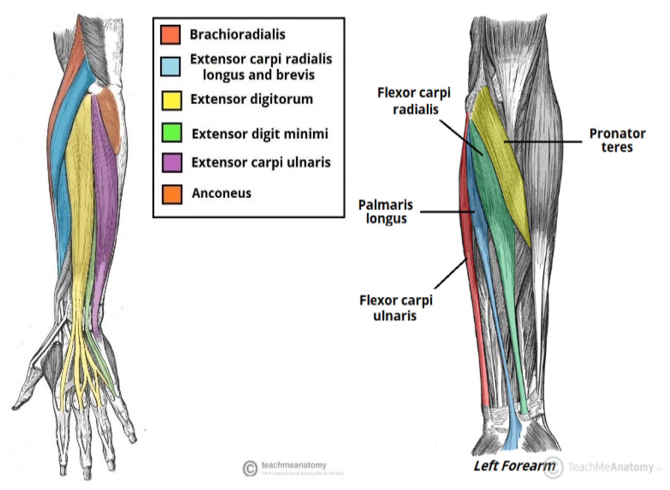 Proceedings 68 00008 g004 550