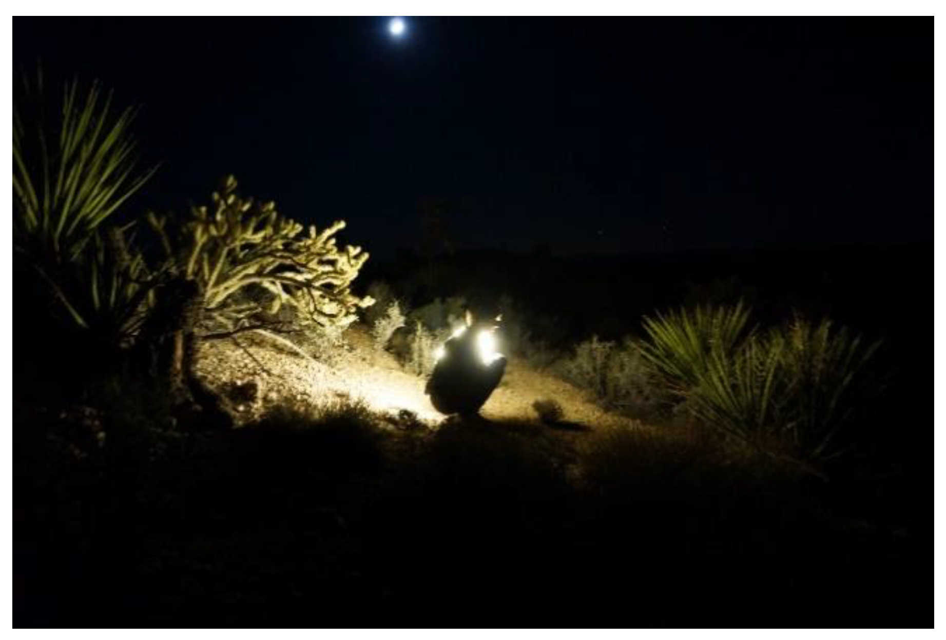 Proceedings 68 00014 g002 550