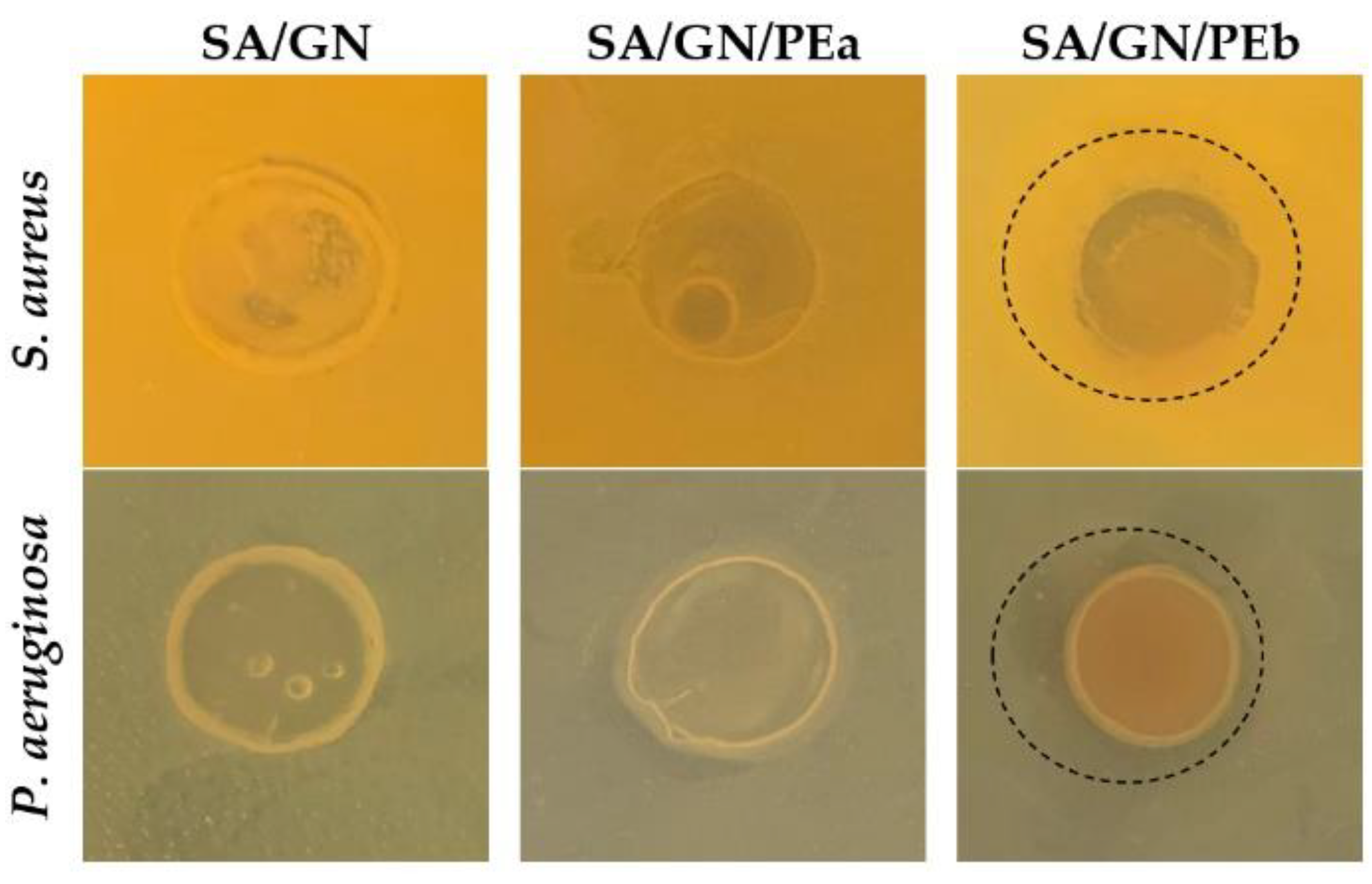 Proceedings 69 00004 g002