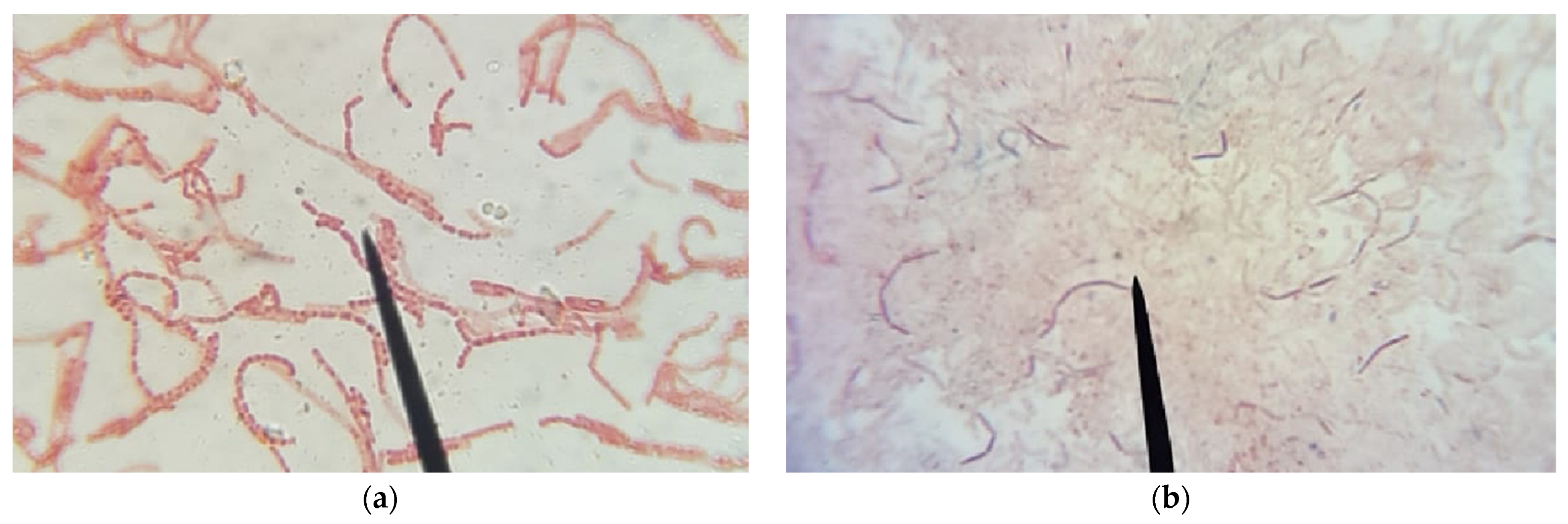 Proceedings 69 00005 g002