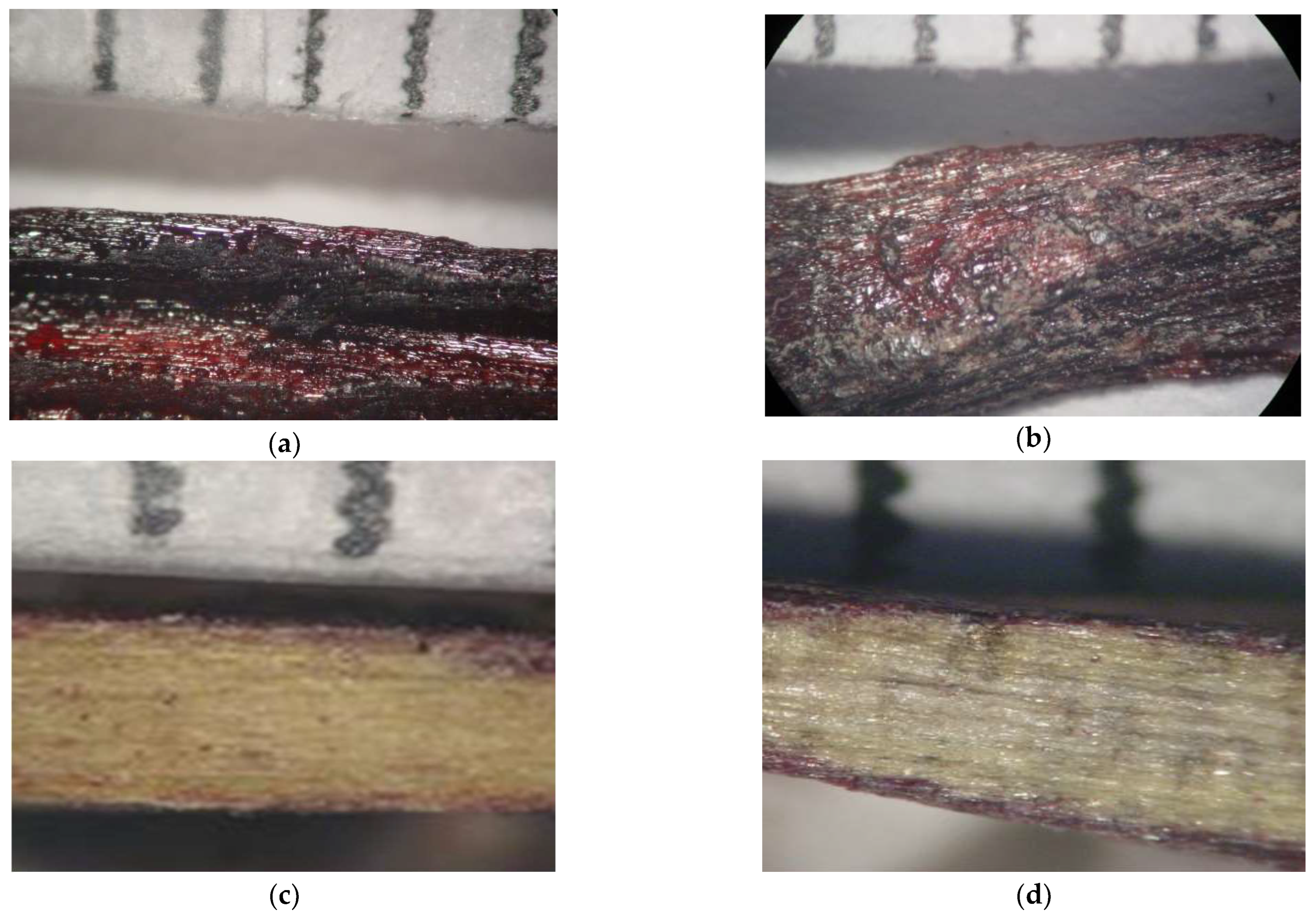 Proceedings 69 00015 g004 550