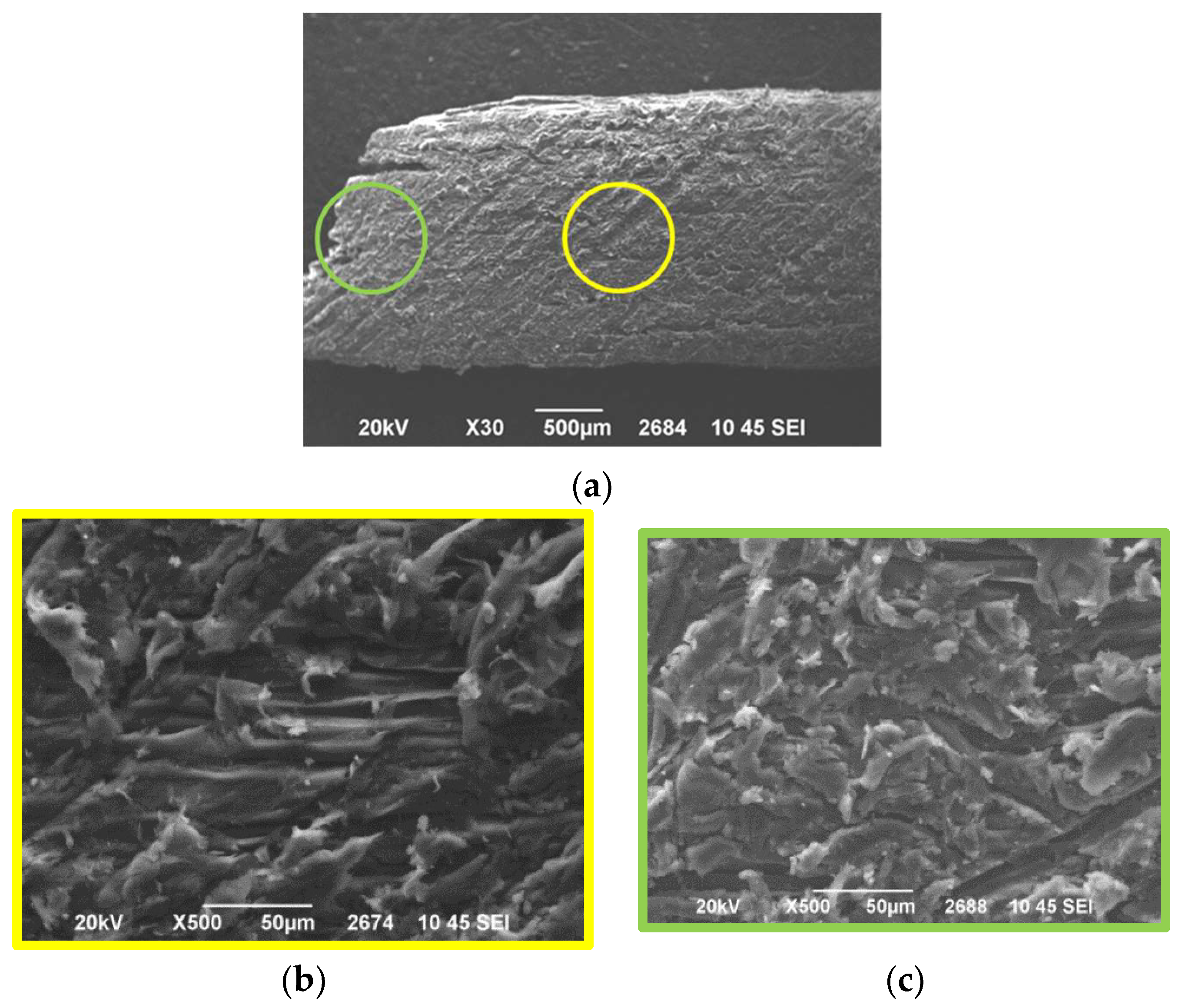 Proceedings 69 00015 g006 550