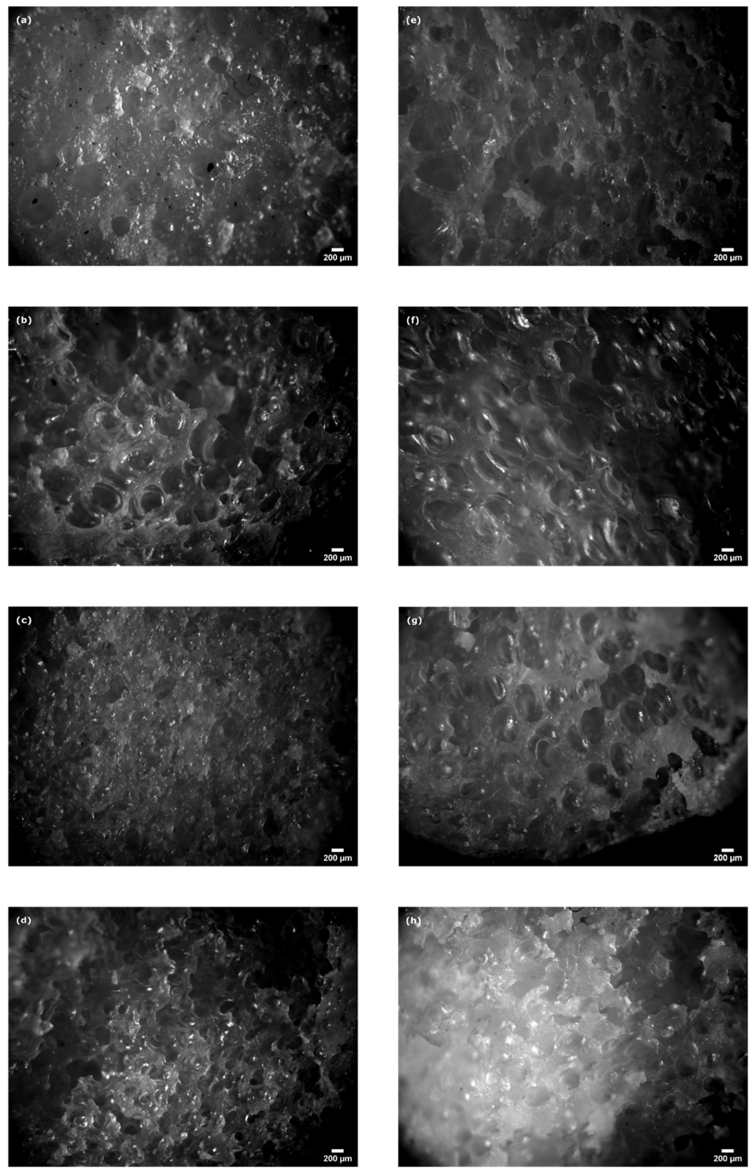 Proceedings 69 00029 g002 550