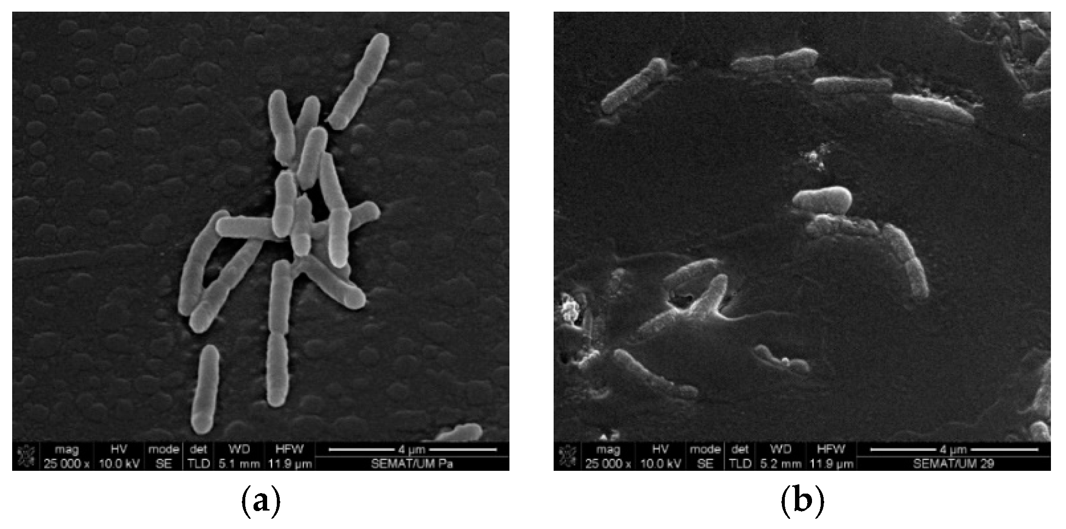 Proceedings 69 00039 g001 550