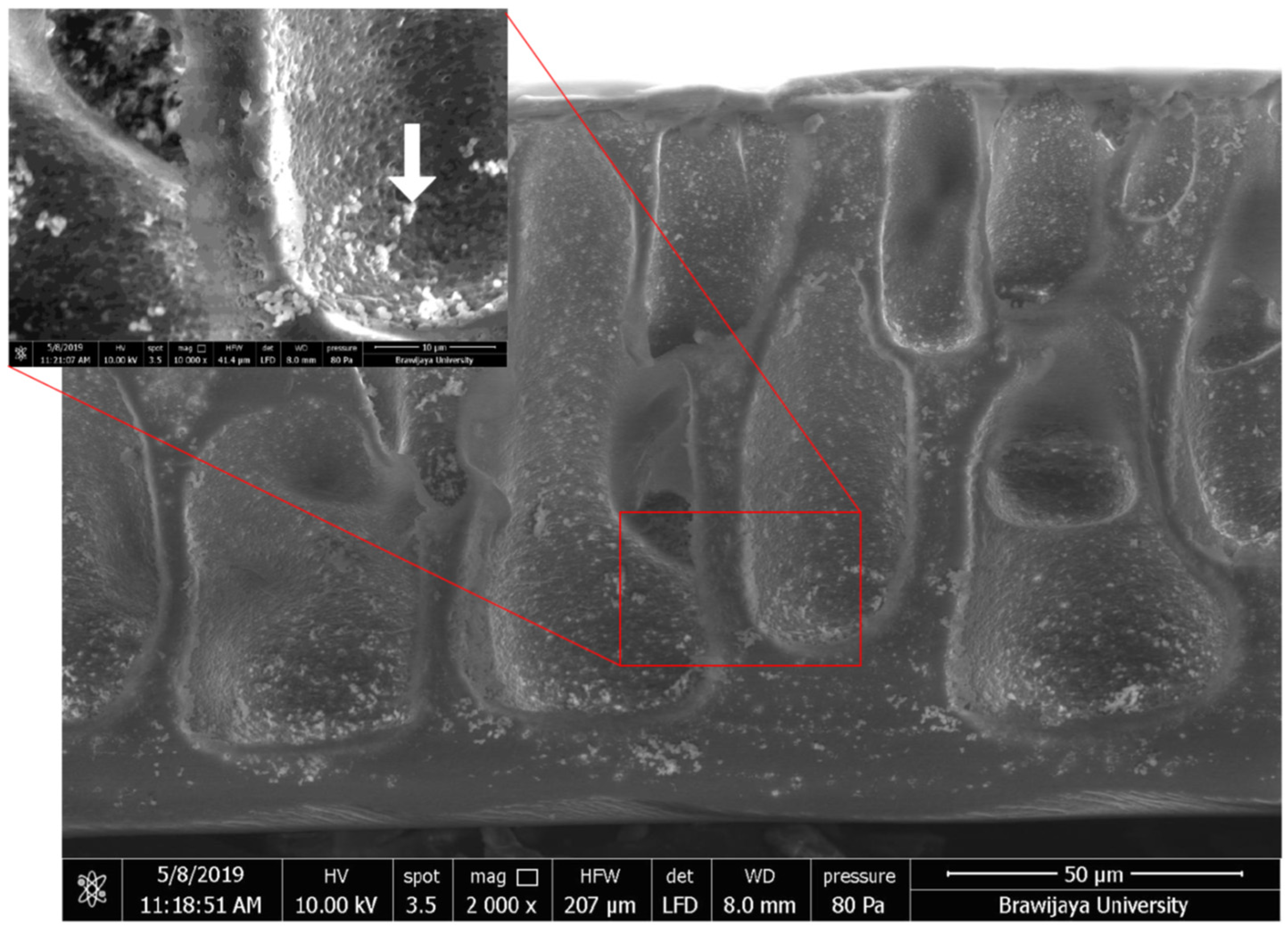 Proceedings 69 00041 g001 550