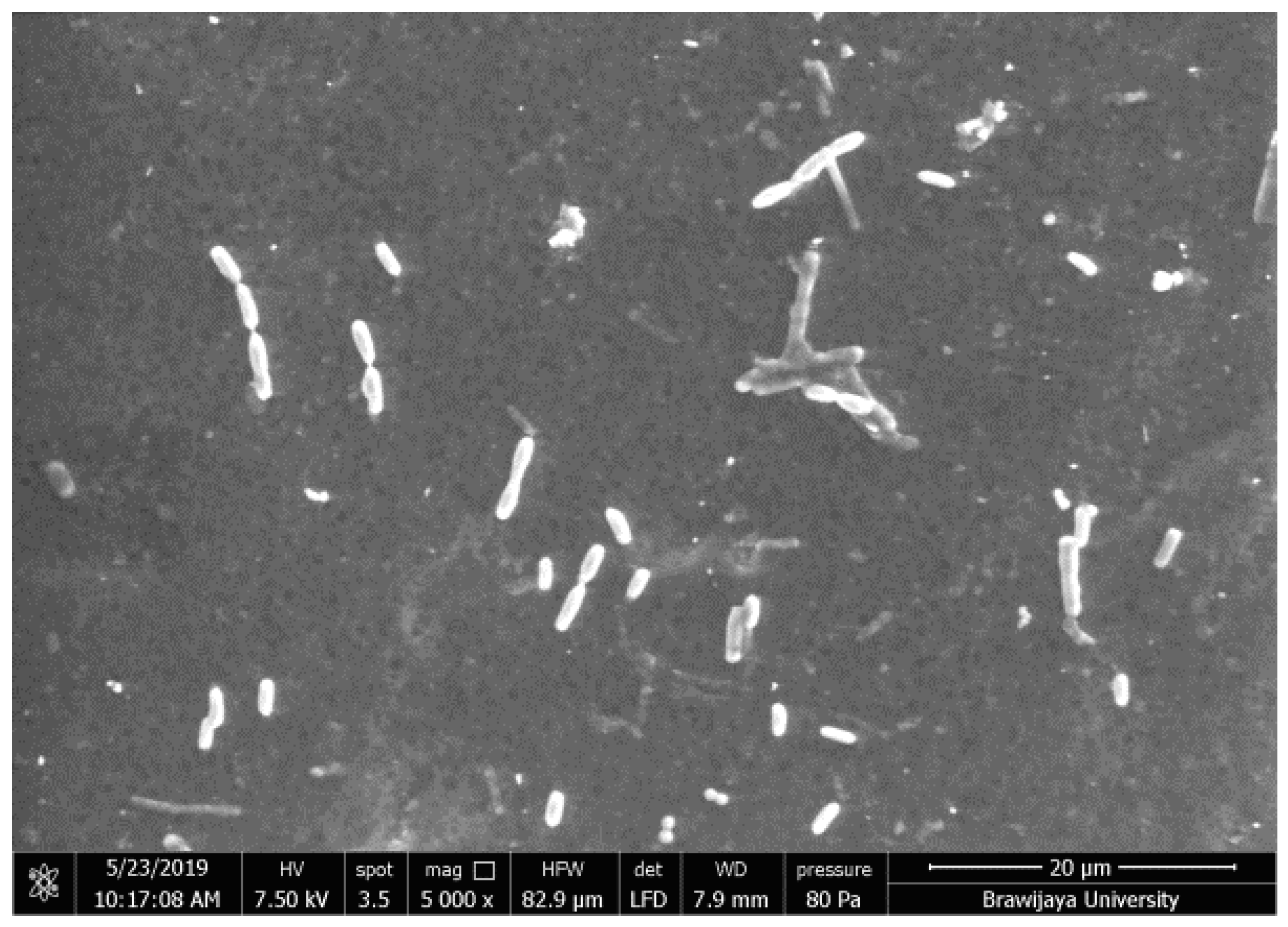 Proceedings 69 00041 g002 550