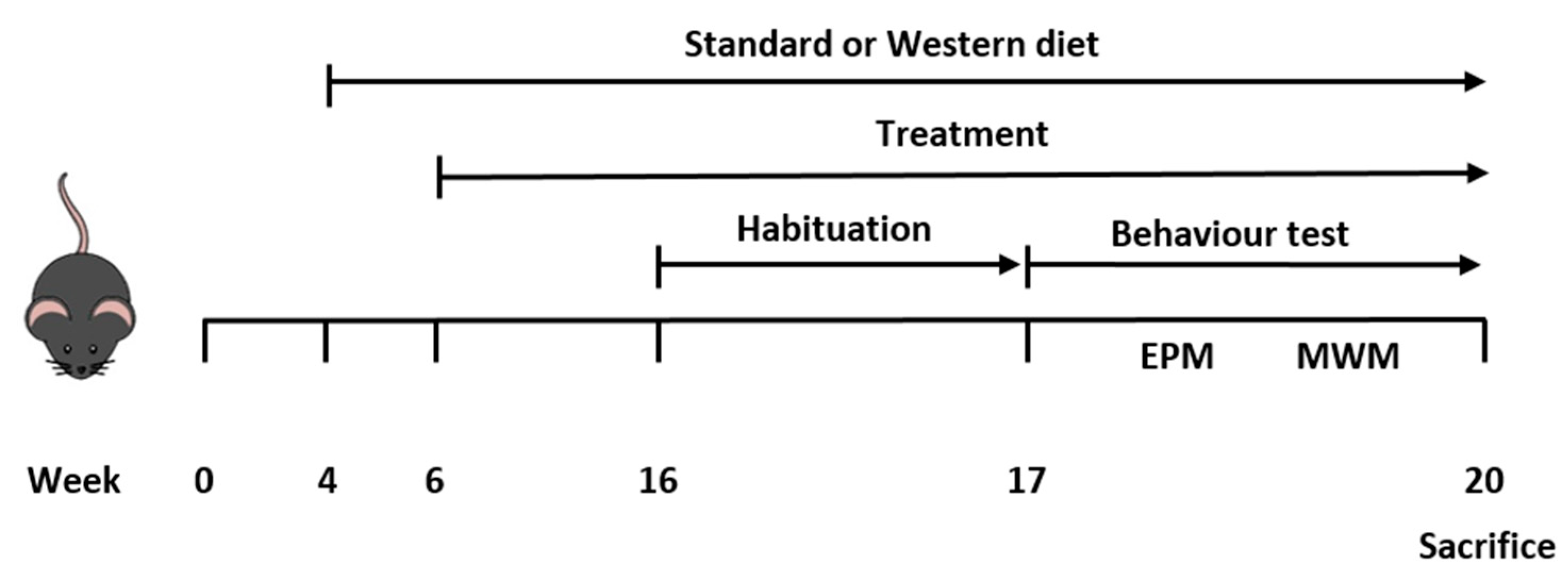 Proceedings 70 00041 g001