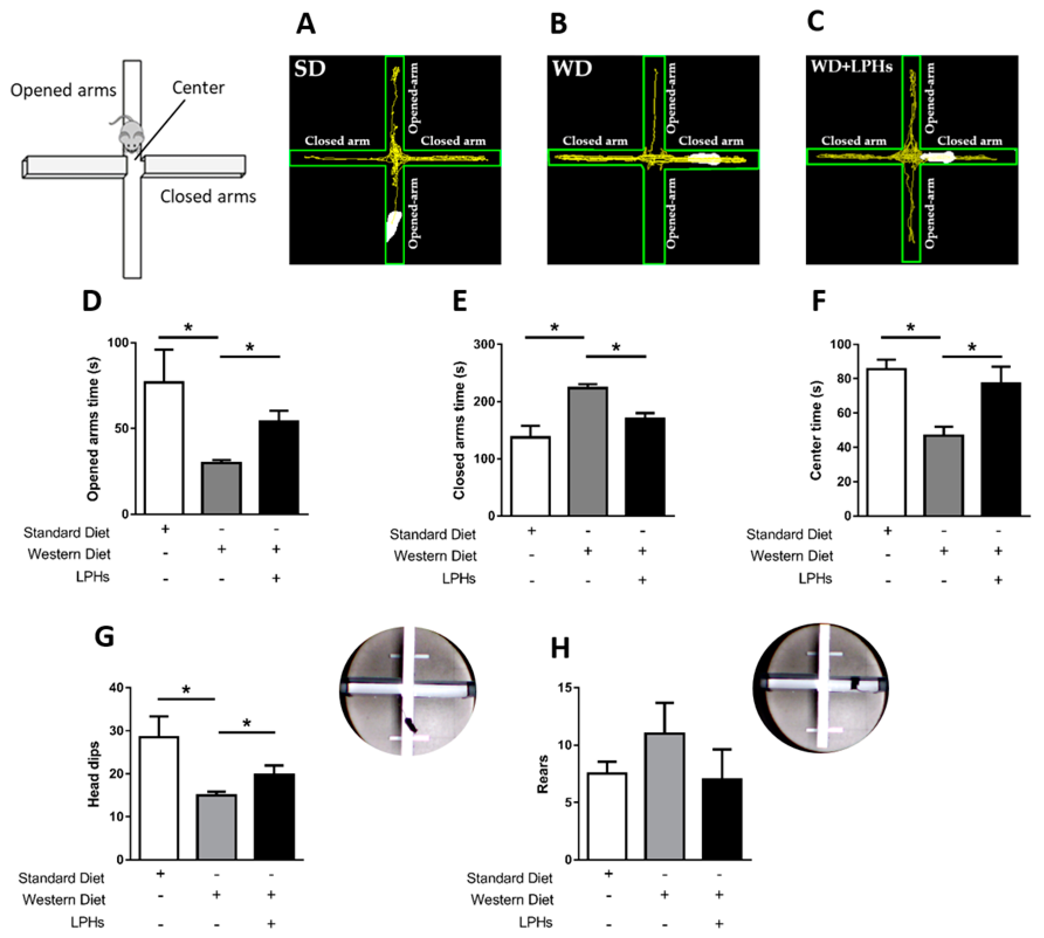 Proceedings 70 00041 g002